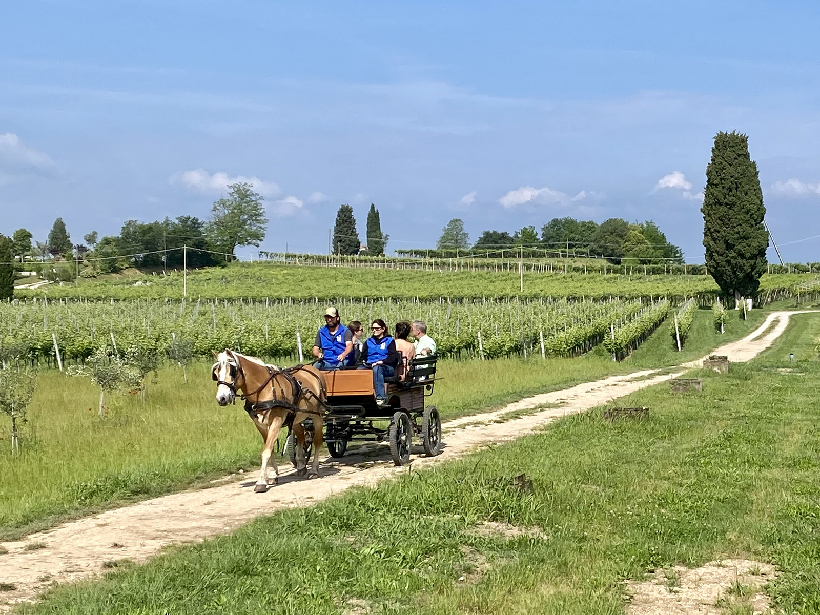 Horse Carriage Tour in Lazise: Romantic Lake Garda Experience - Photo 9