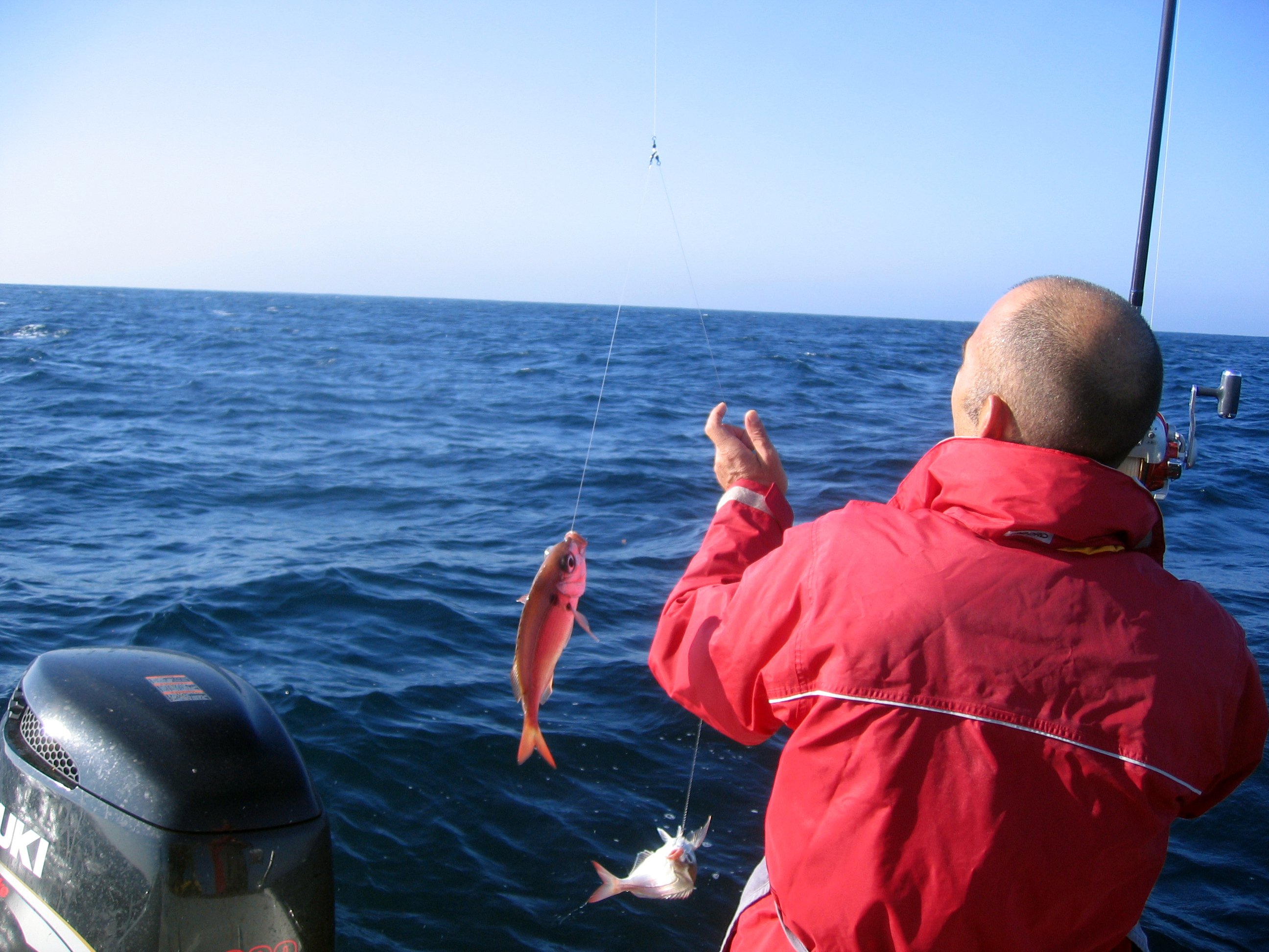 Cascais Small Group Deep-Sea Fishing Experience