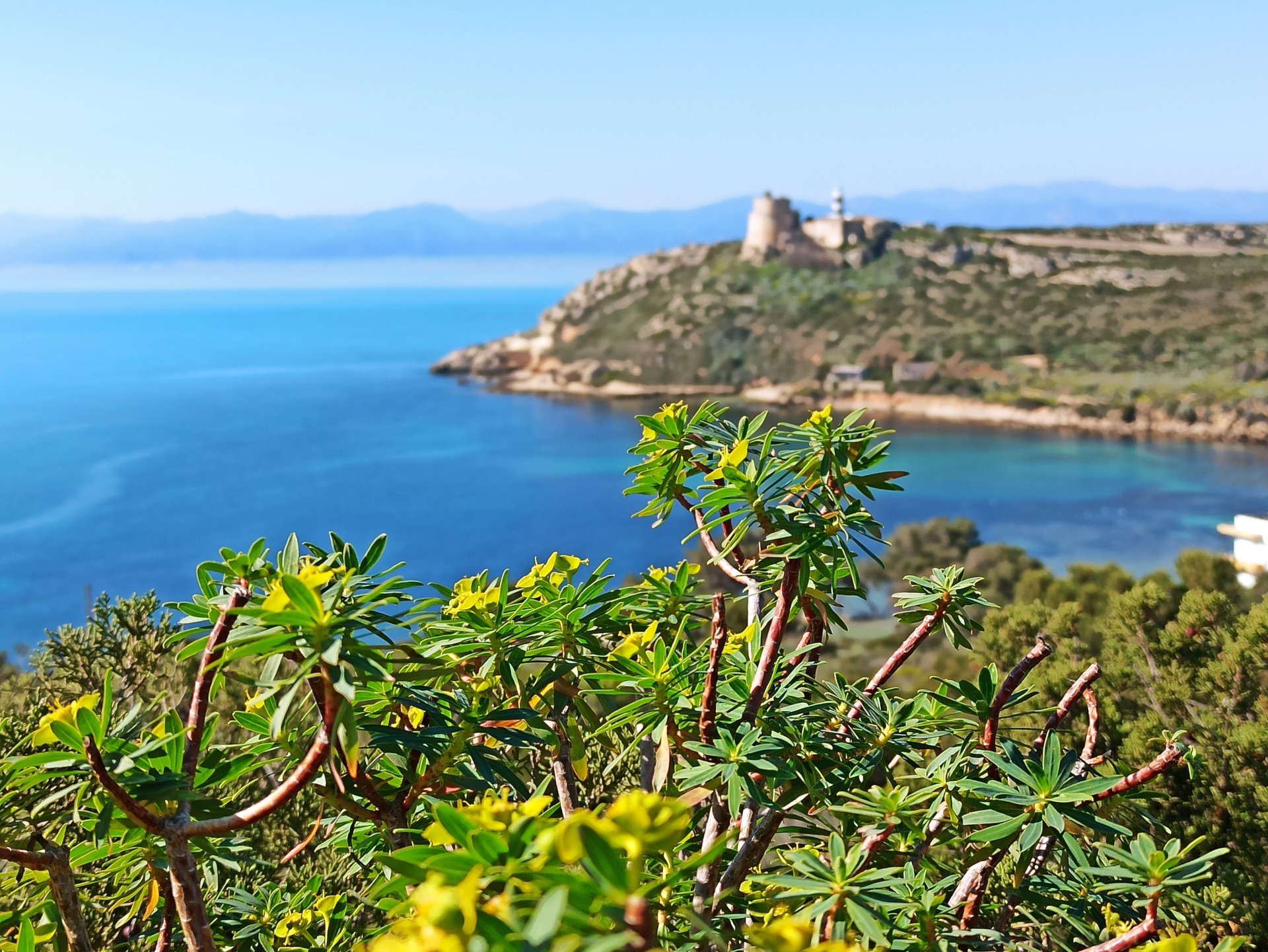 Cagliari: trekking to the Sella del Diavolo - Photo 7
