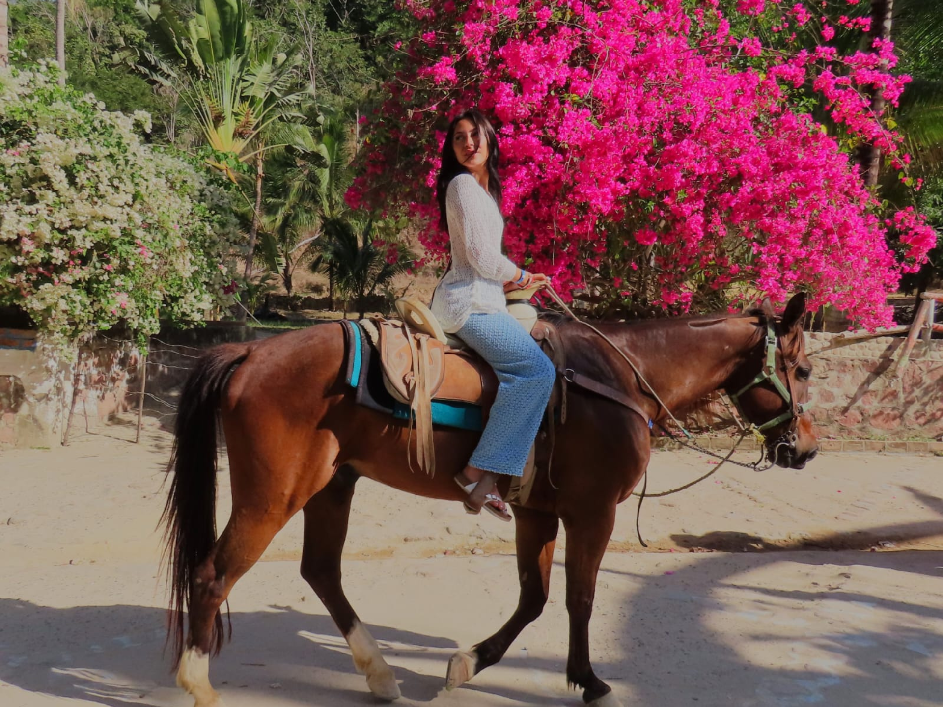 Desde Puerto Vallarta Cabalgata por la Sierra Madre 4
