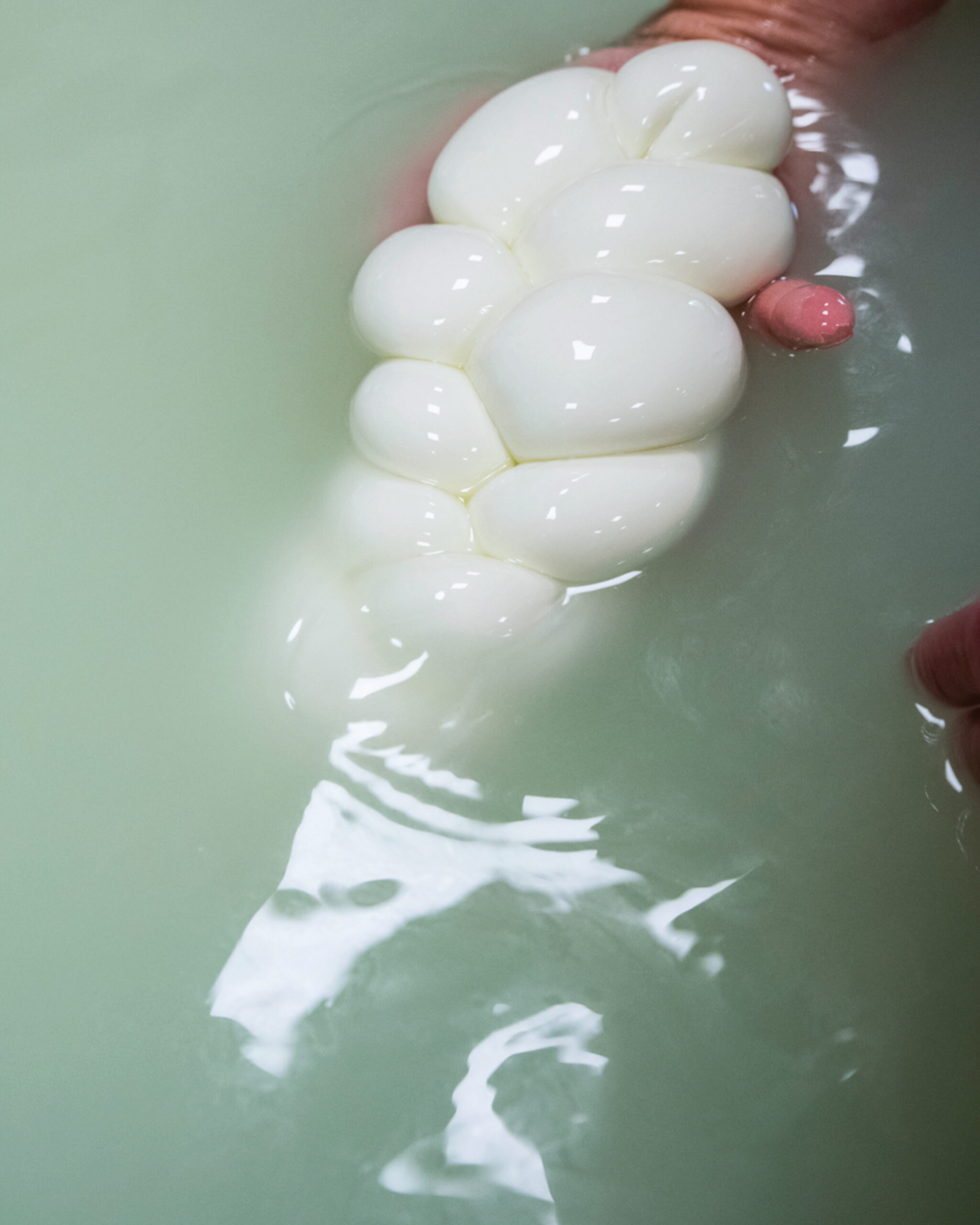 Vannulo Buffalo Farm & Paestum Archaeological Park Private Tour 