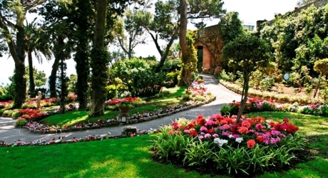 SEA-DAY: CAPRI AND SORRENTO in dinghy - Photo 12