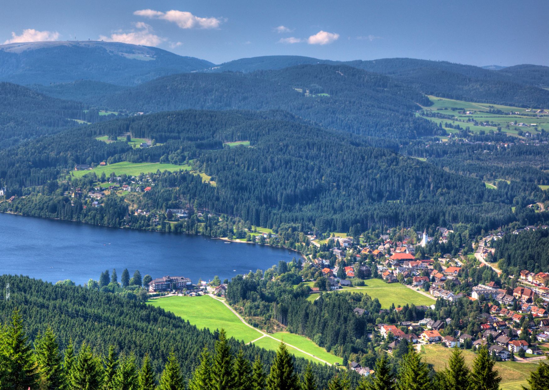 Zürich: Private Car Tour to Rhine Falls, Titisee and Black Forest - Photo 6