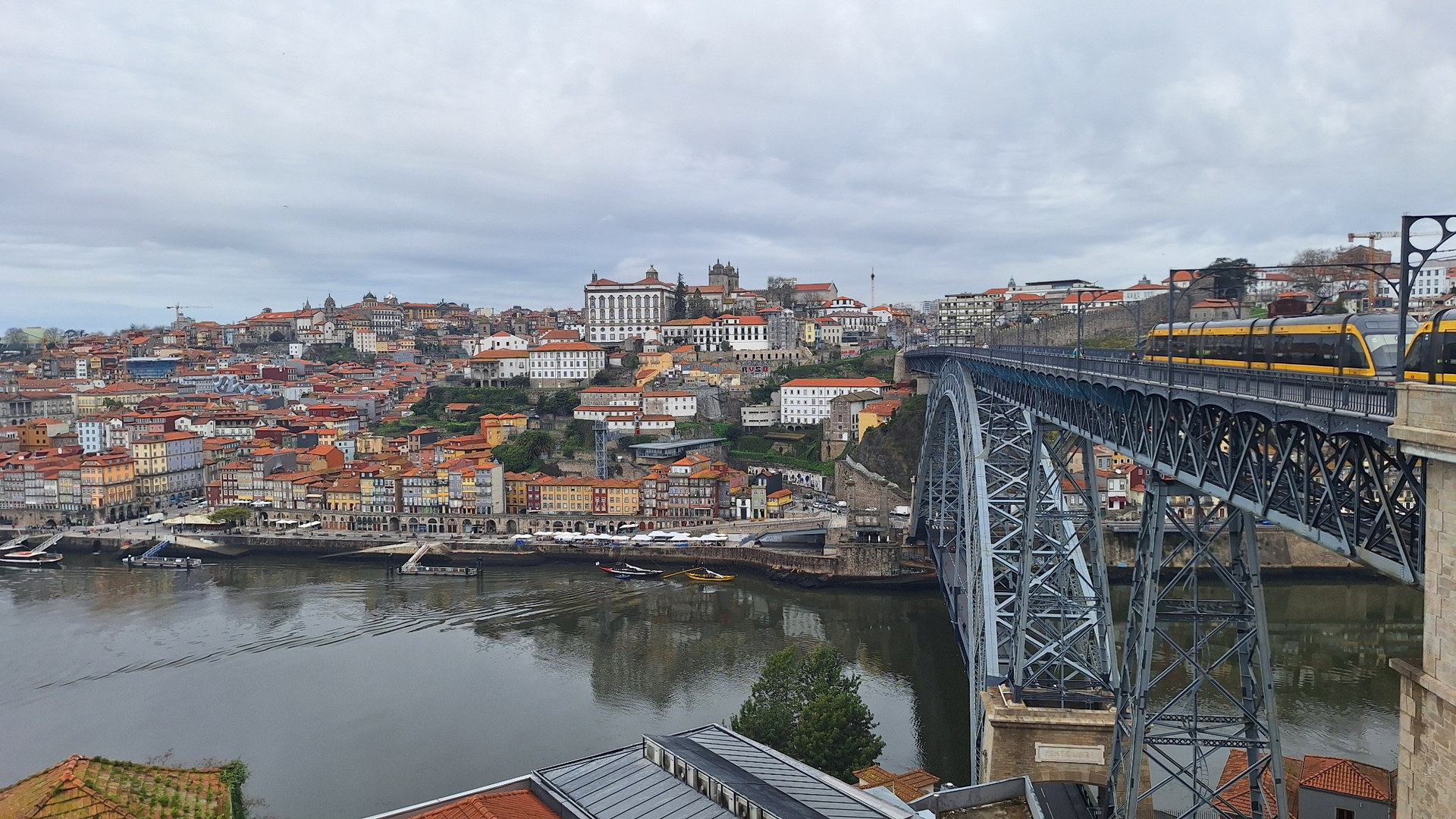 Private Porto Full-Day Tour: Cathedral, Lello and Wine Tastings - Photo 14