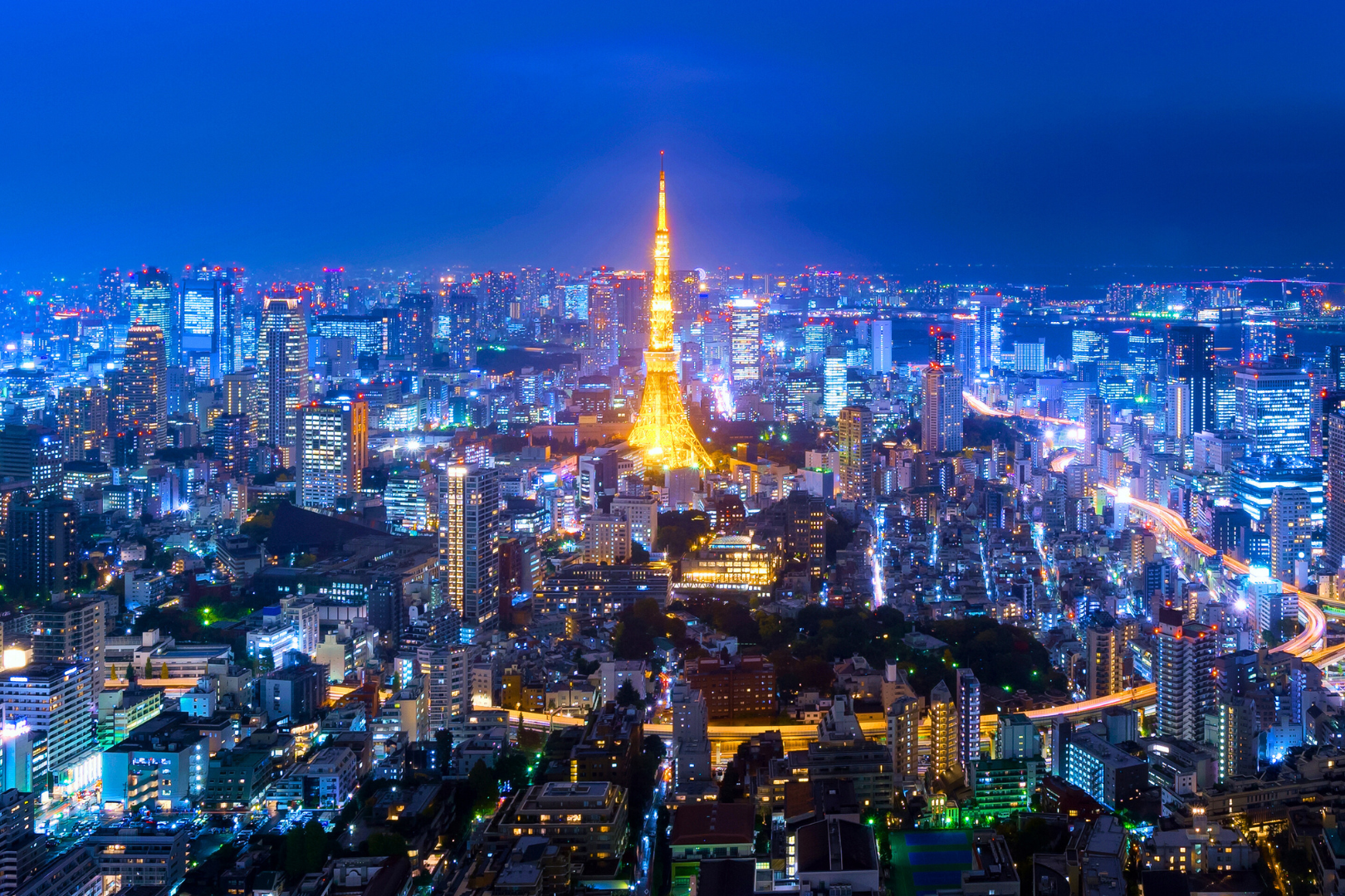 Tokyo Layover | Classic Night View Tour- Roppongi hills & Shibakoen