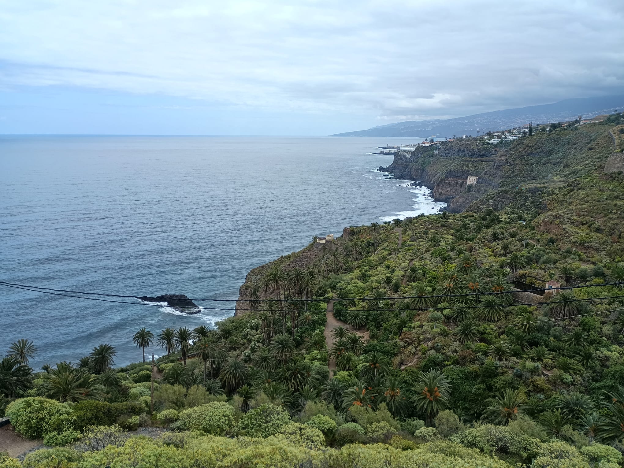 Excursion privada Paisajes y contrastes por la costa norte de Tenerife - Photo 14