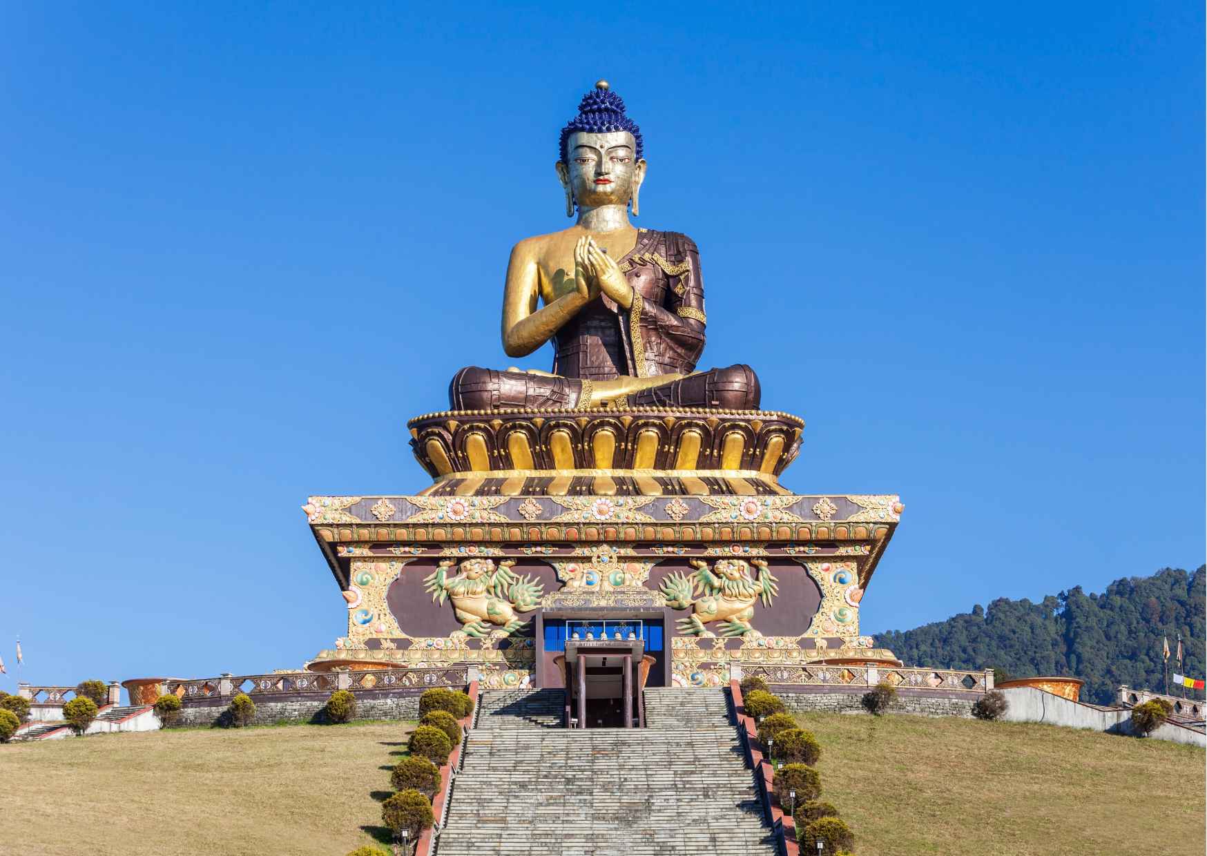 Highlights of Pelling with Budha Park (Guided Fullday Sightseeing Tour by Car) - Photo 8