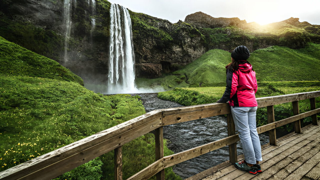 Private South Coast & Jokulsarlon Lagoon Tour in Multi-Language Guide Options