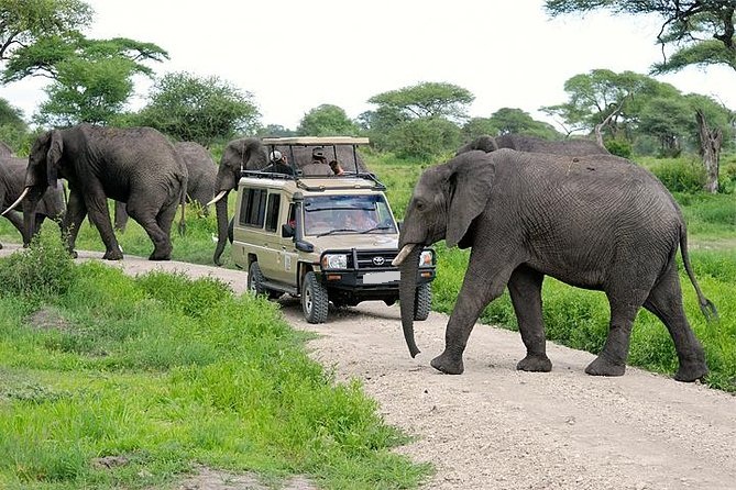 Safari privado de 9 días: Kenia y Tanzania - Foto 3