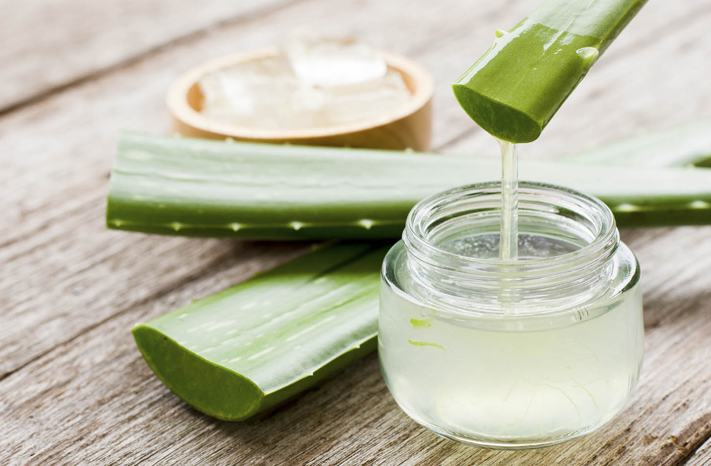 Taller de Aloe Vera: Elaboración de Mascarilla Natural 