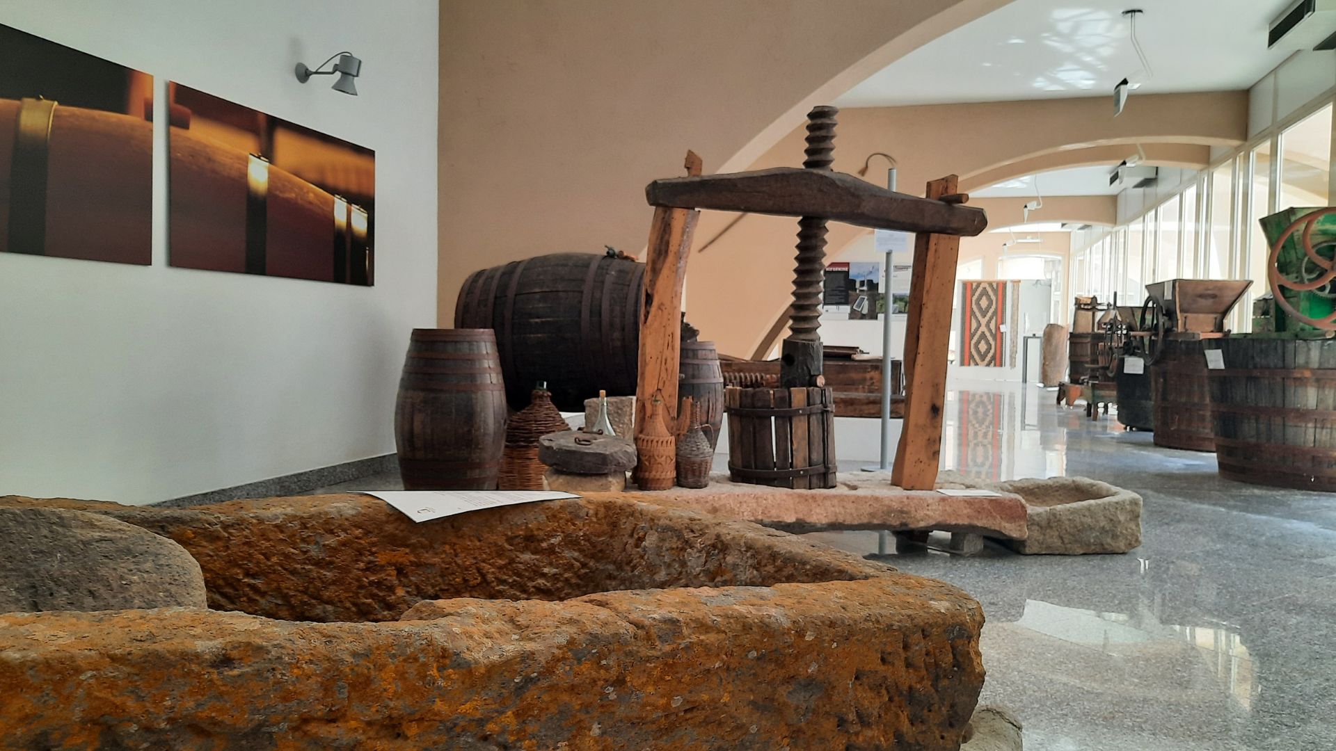 Berchidda: visit to the Wine Museum with tasting - Photo 4