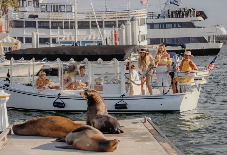 Crucero privado en barco eléctrico de lujo con vino, tabla de embutidos y avistamiento de leones marinos