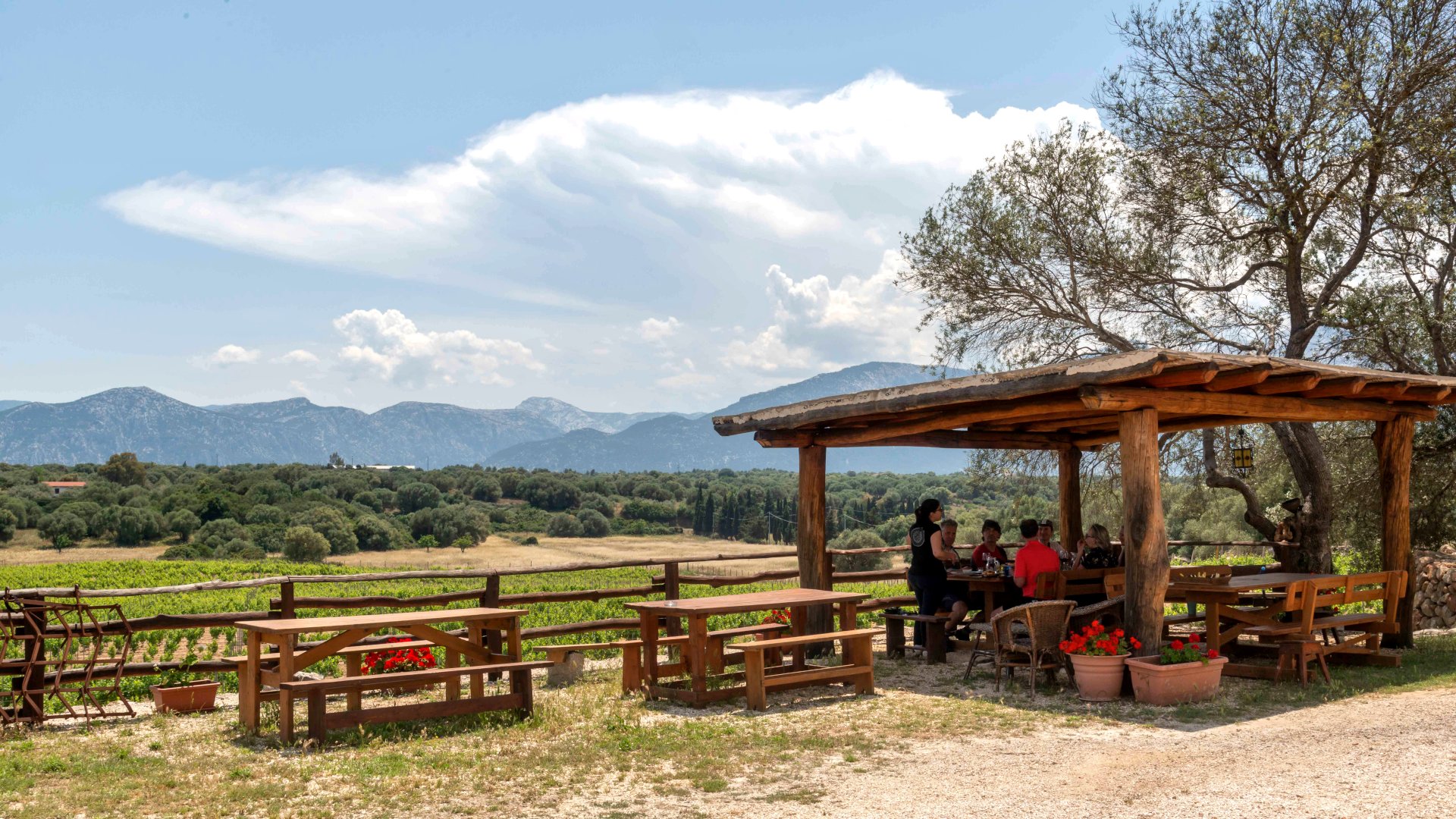Dorgali: visit of a winery with tasting - Photo 18
