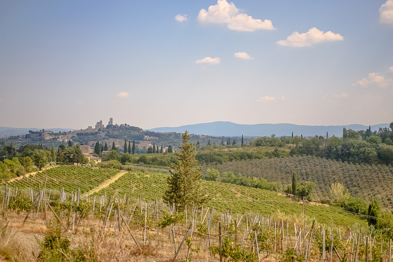 Small-Group Winery Tour with Tasting and Dinner in Chianti - Photo 60