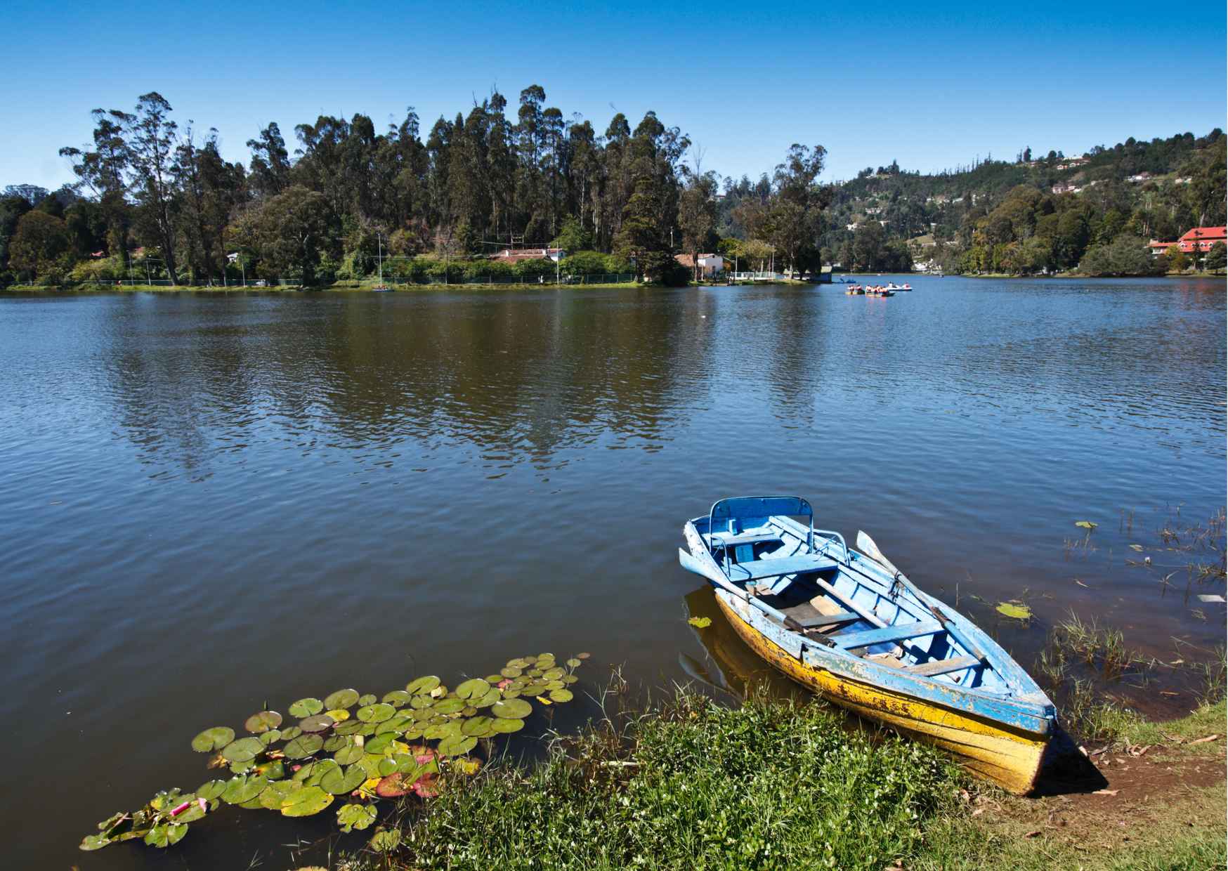 Day Trip to Kodaikanal (Guided Sightseeing Tour by Car from Madurai) - Photo 7