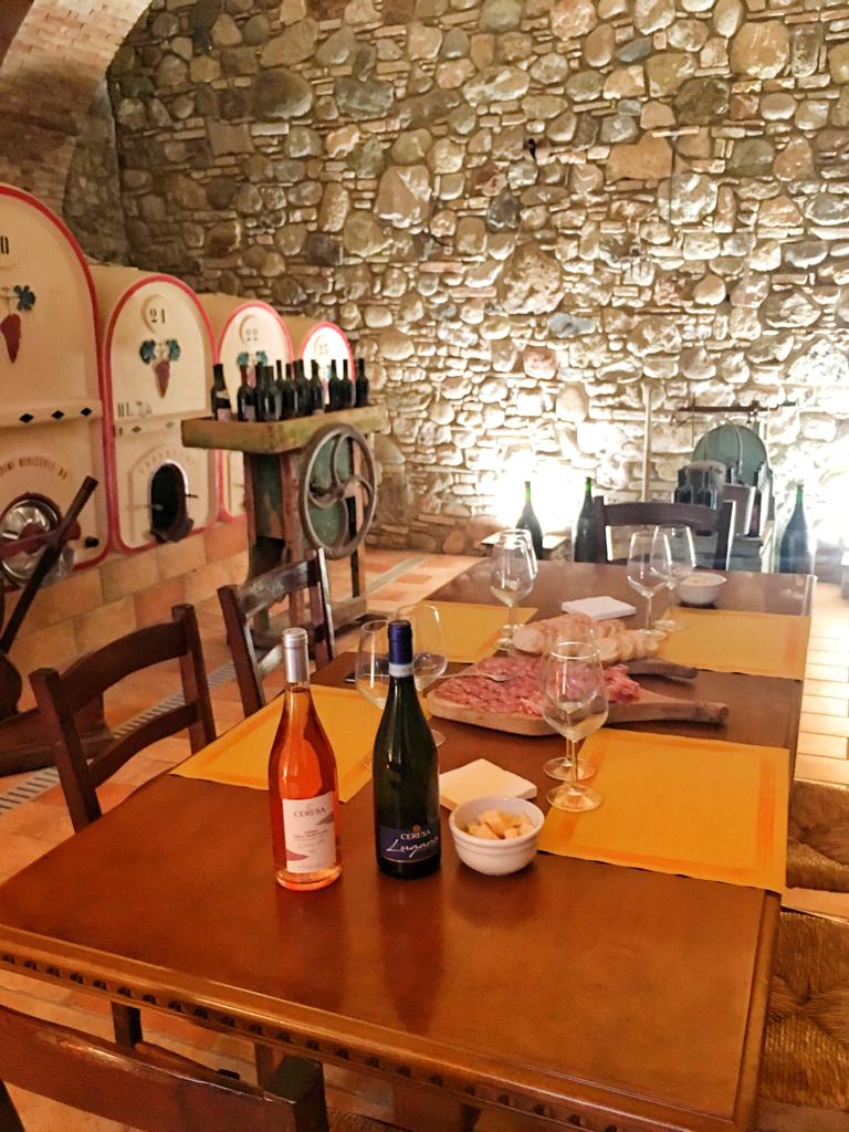 Vineyard Tour and Tasting of Lugana Wines - Photo 13