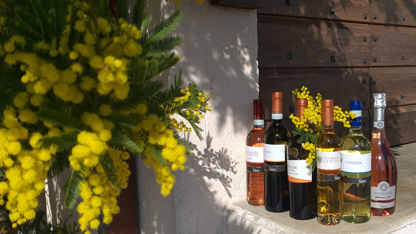 Tasting of 6 rosè and white wines in Bardolino with Lake View - Photo 5