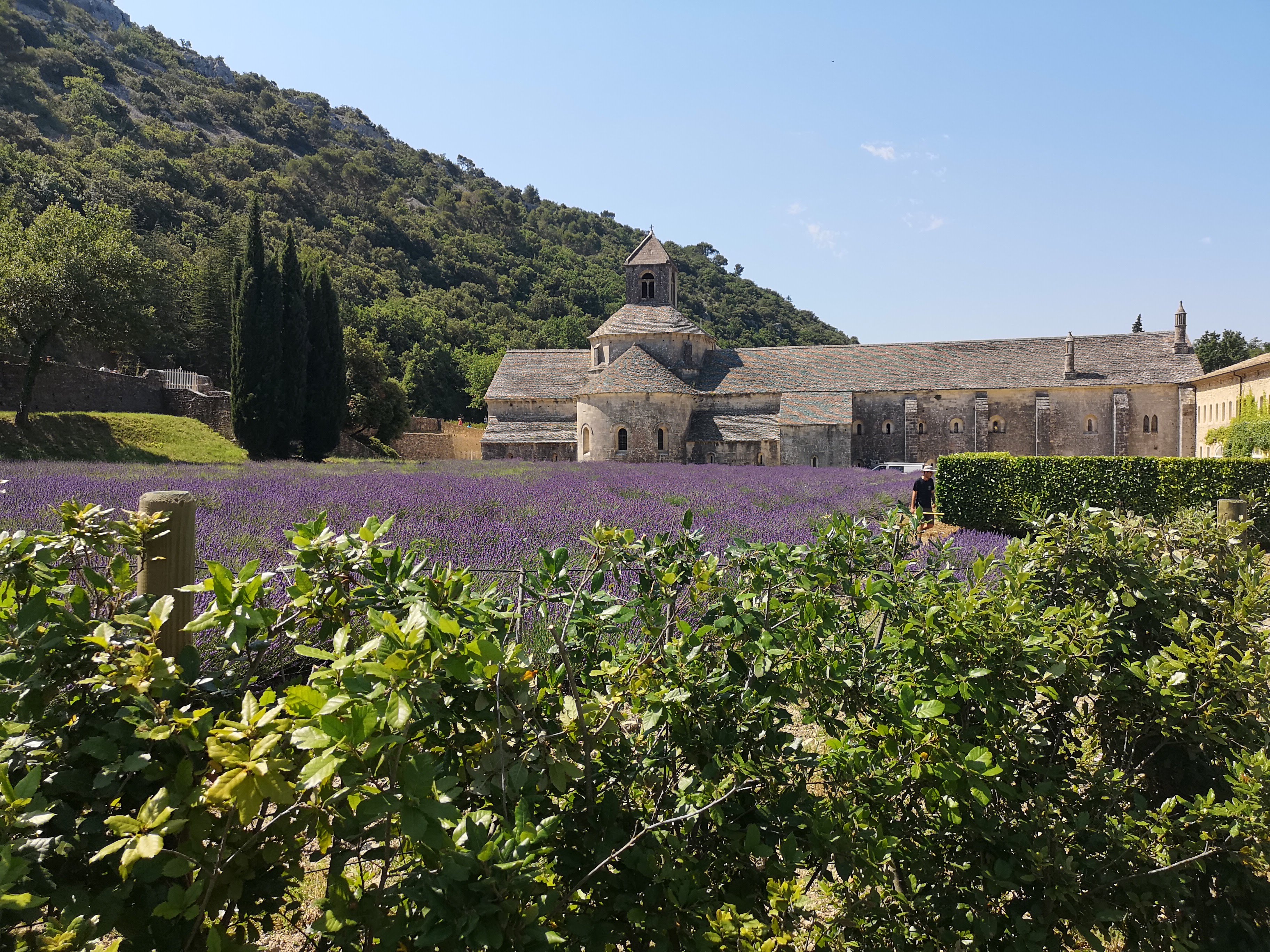 Marseille Shore Excursion: Private Day Trip to Luberon Villages - Photo 5
