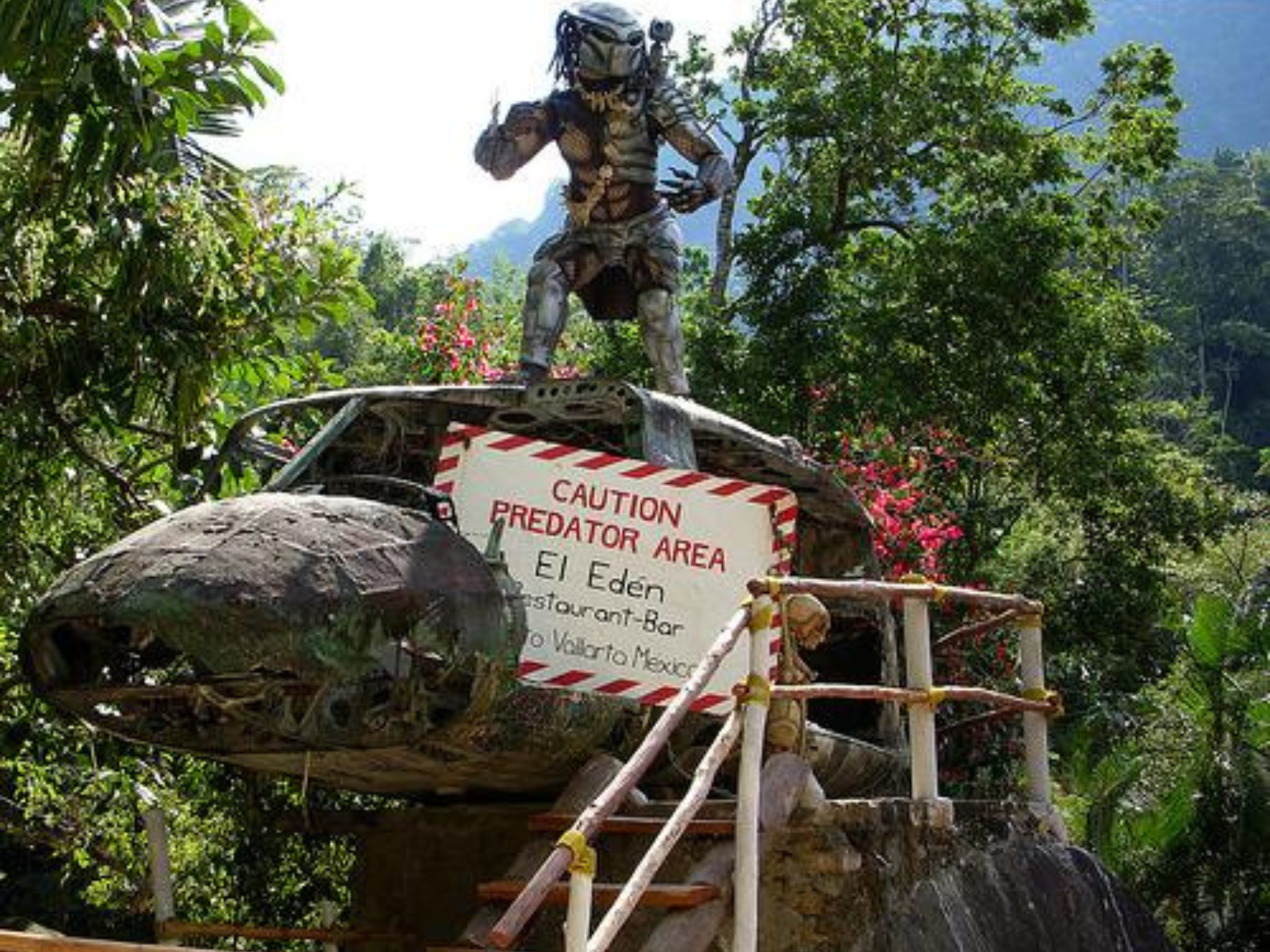 Desde Puerto Vallarta Cabalgata por la Sierra Madre 3