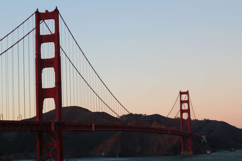 Muir Woods Small-Group Tour from San Francisco – photo 4