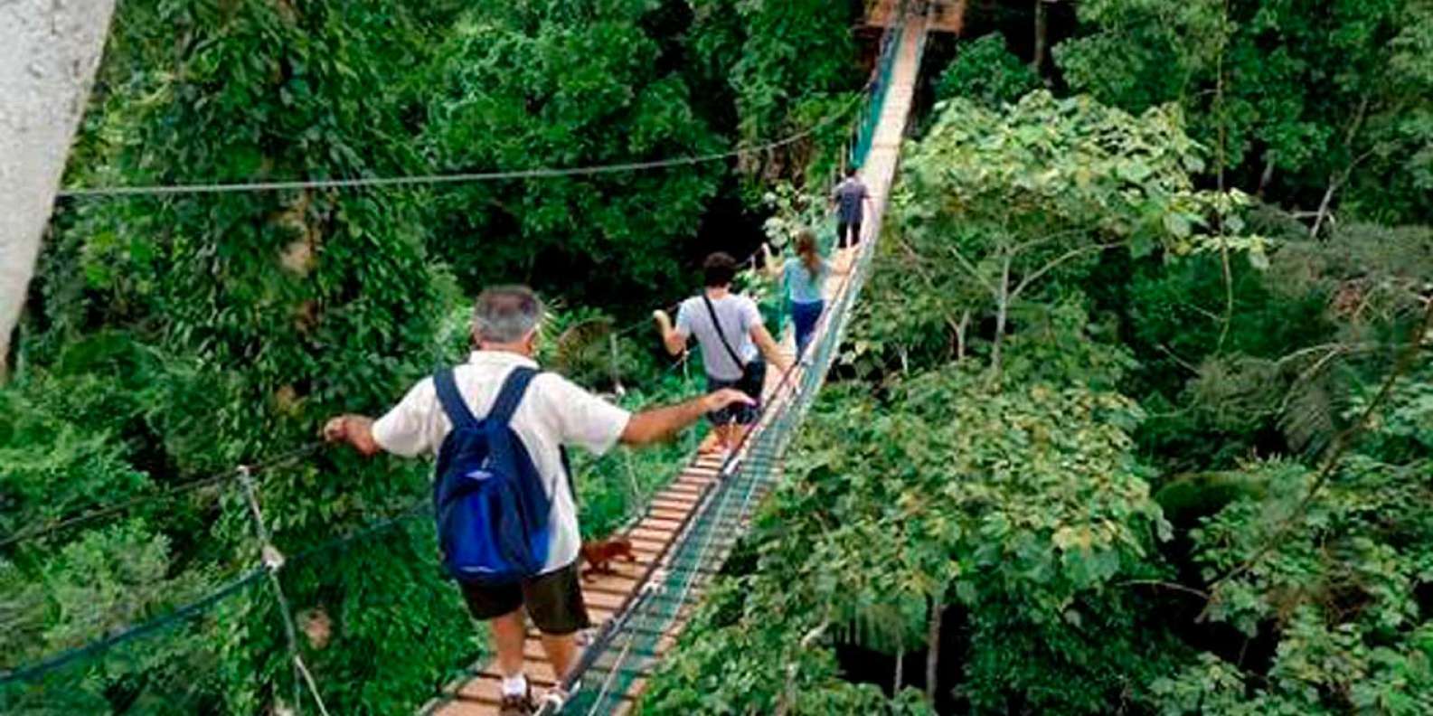Pmal-01 : Los Secretos de Sandoval- 2 Días en la Selva de Tambopata - Foto 3