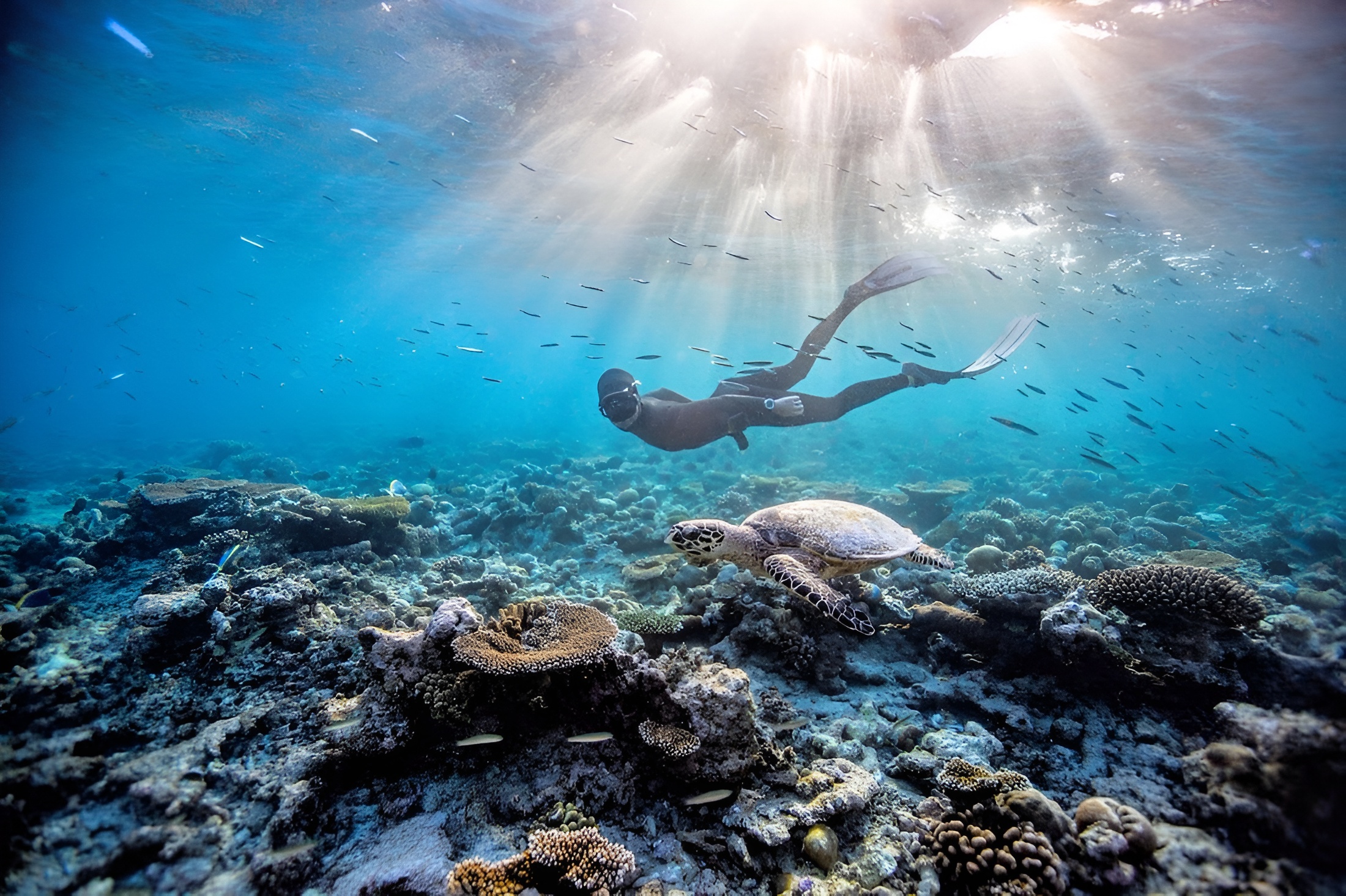 Lo mejor de 7 días de Marsa Alam y el Mar Rojo: buceo y snorkel en la isla - Foto 2