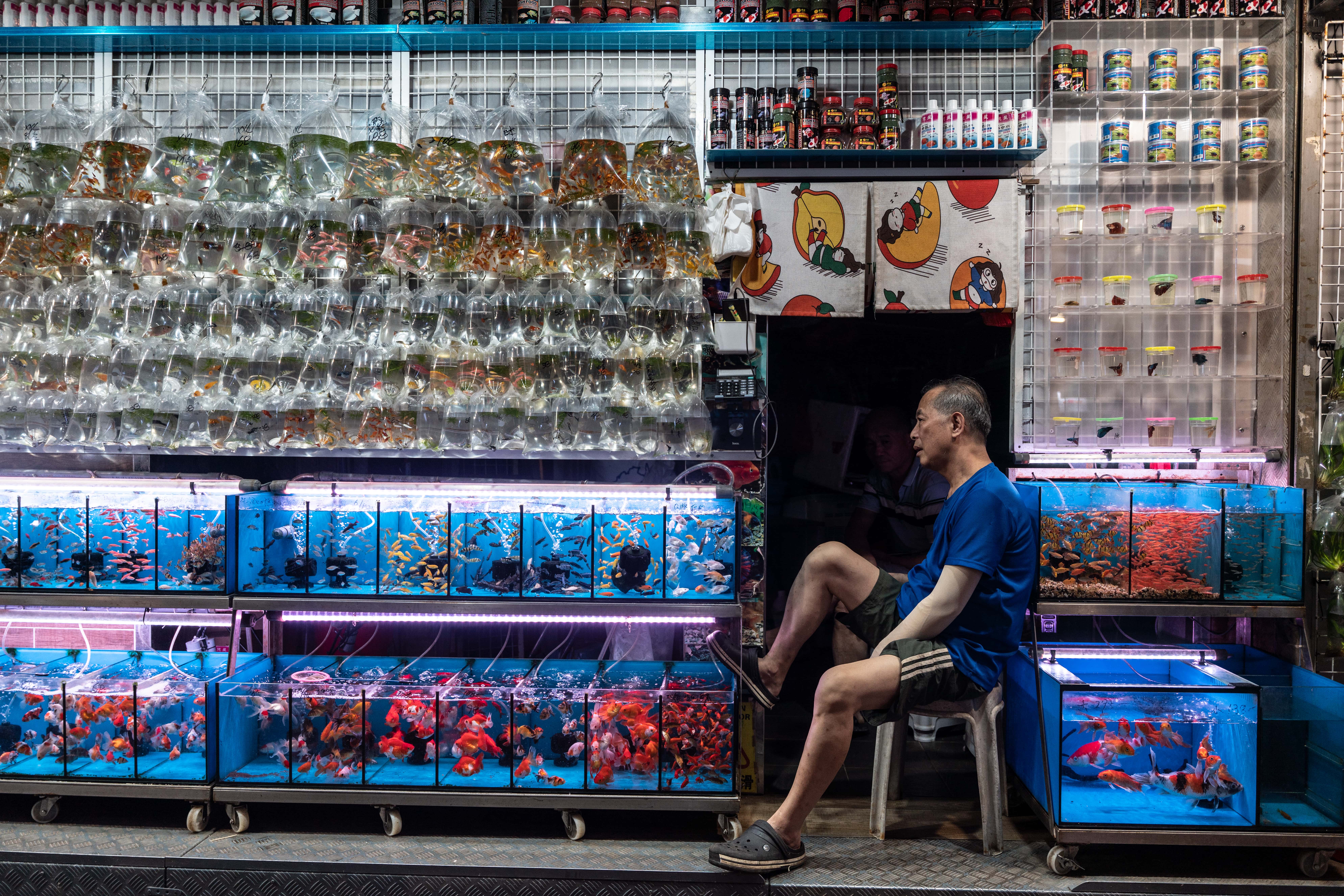 Kowloon Guided Tour in Private Service - Accommodations in Hong Kong