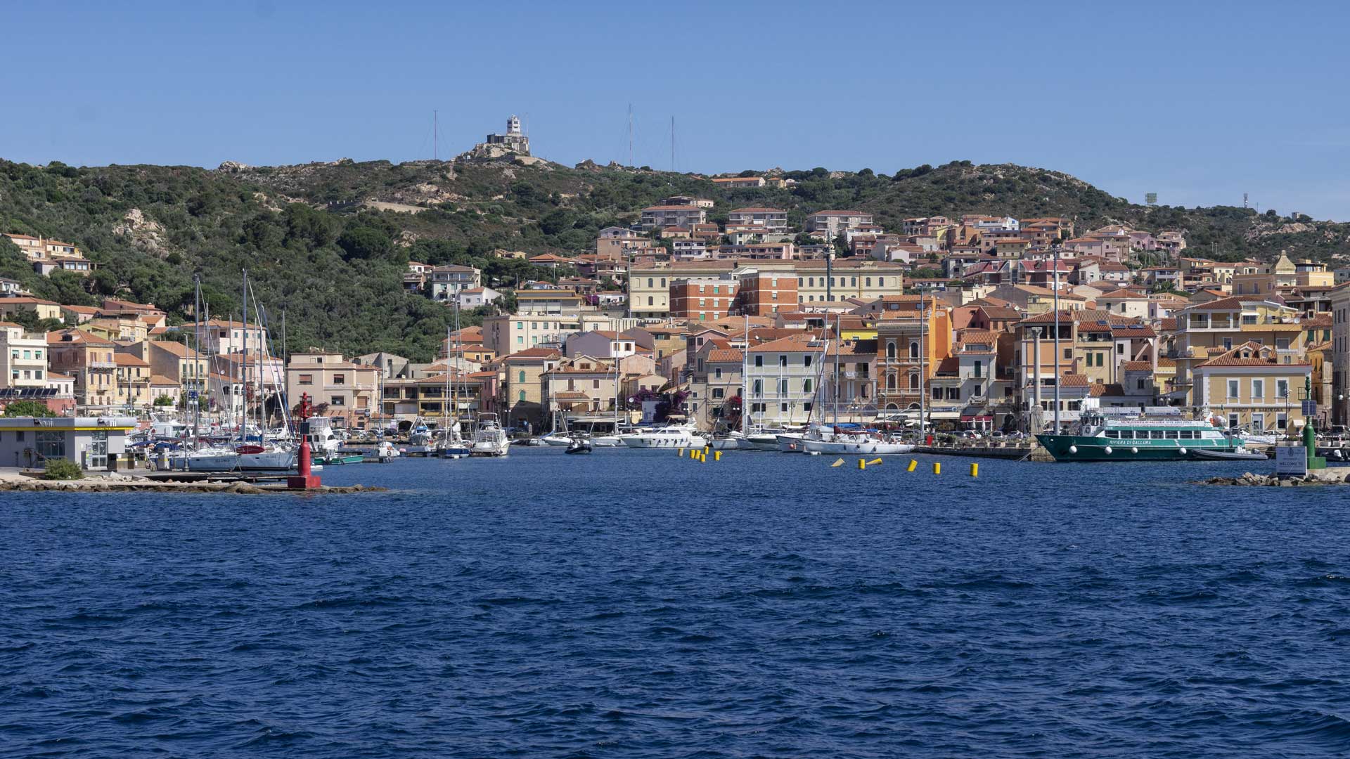 From Santa Teresa di Gallura: motorboat tour of the La Maddalena Archipelago - Photo 8