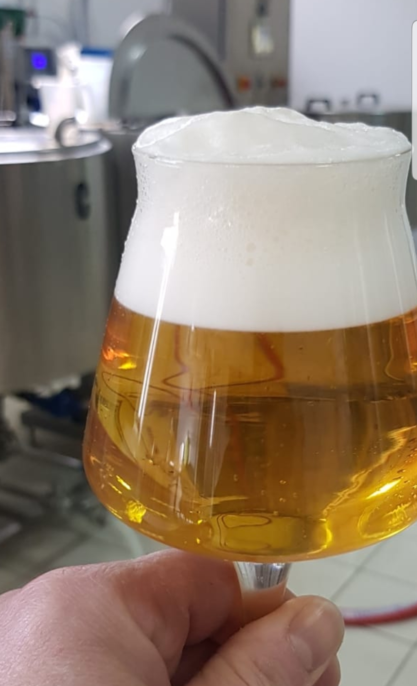 Benevento: visit and tasting at a brewery in Apollosa - Photo 10