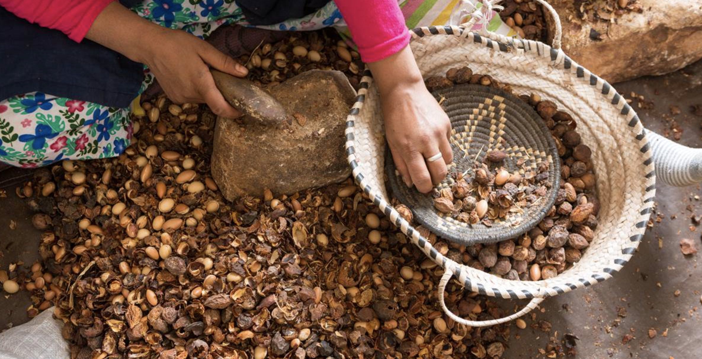 Excursión a Agadir desde Marrakech