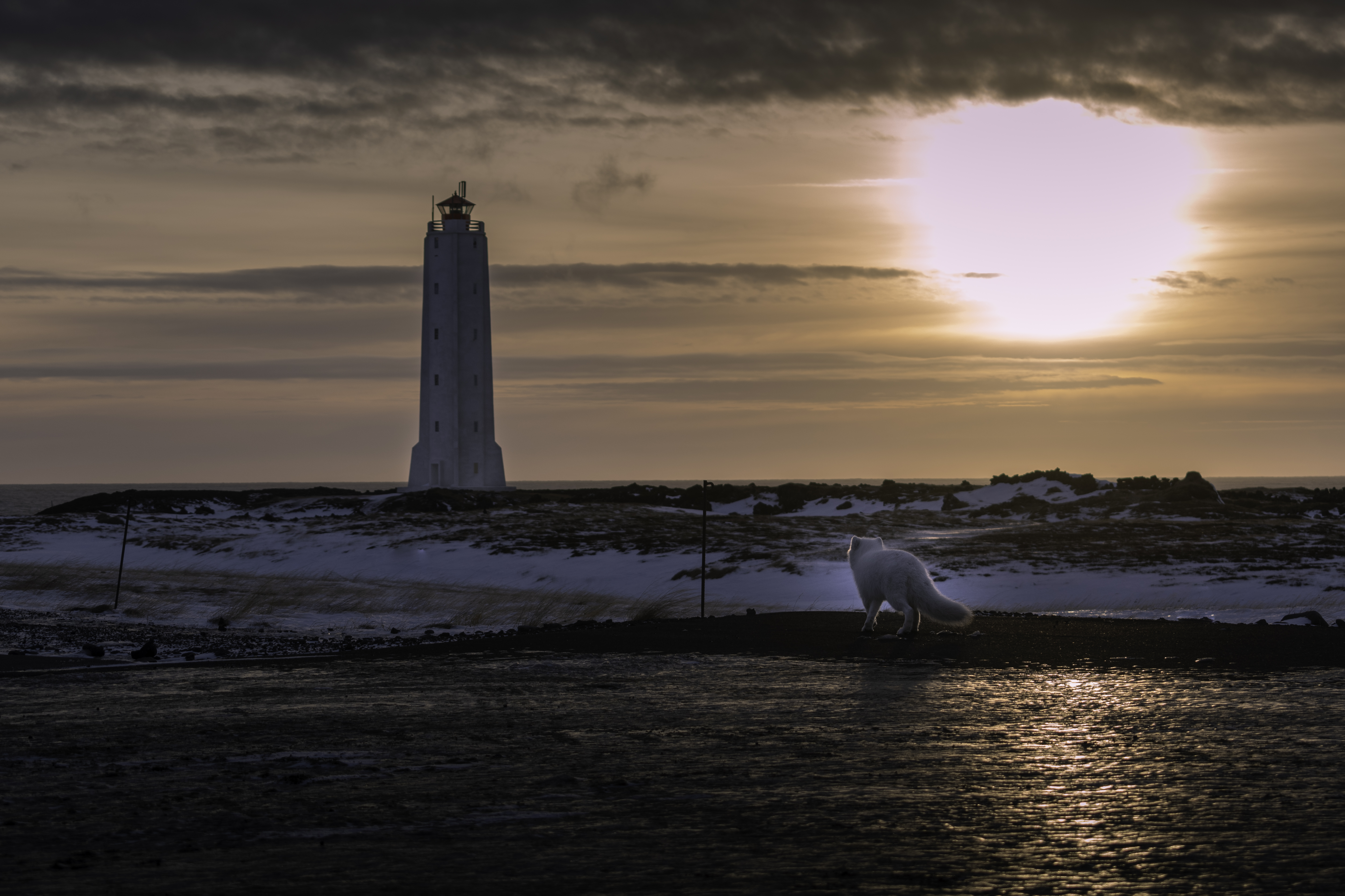Small group Tour: Snæfellsnes Peninsula and Shark Museum - photo 5