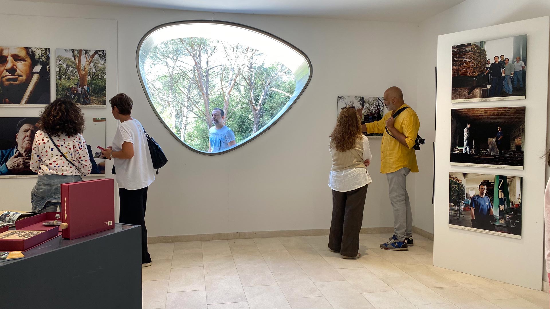 Tempio Pausania: visit the park museum with an aperitif - Photo 14