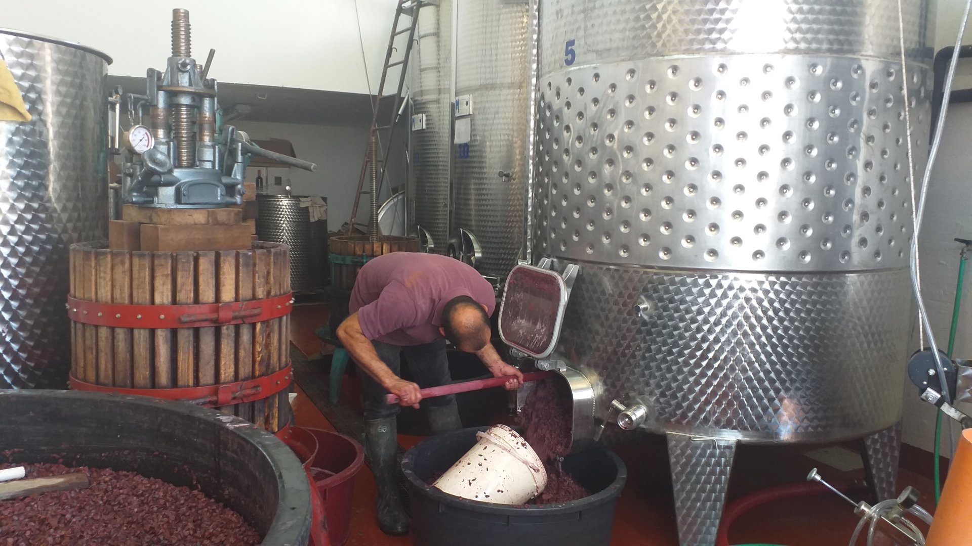 Dorgali: visit of a winery with tasting - Photo 10