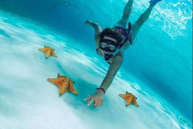 Excursión a Cozumel desde Cancún transporte incluido 2