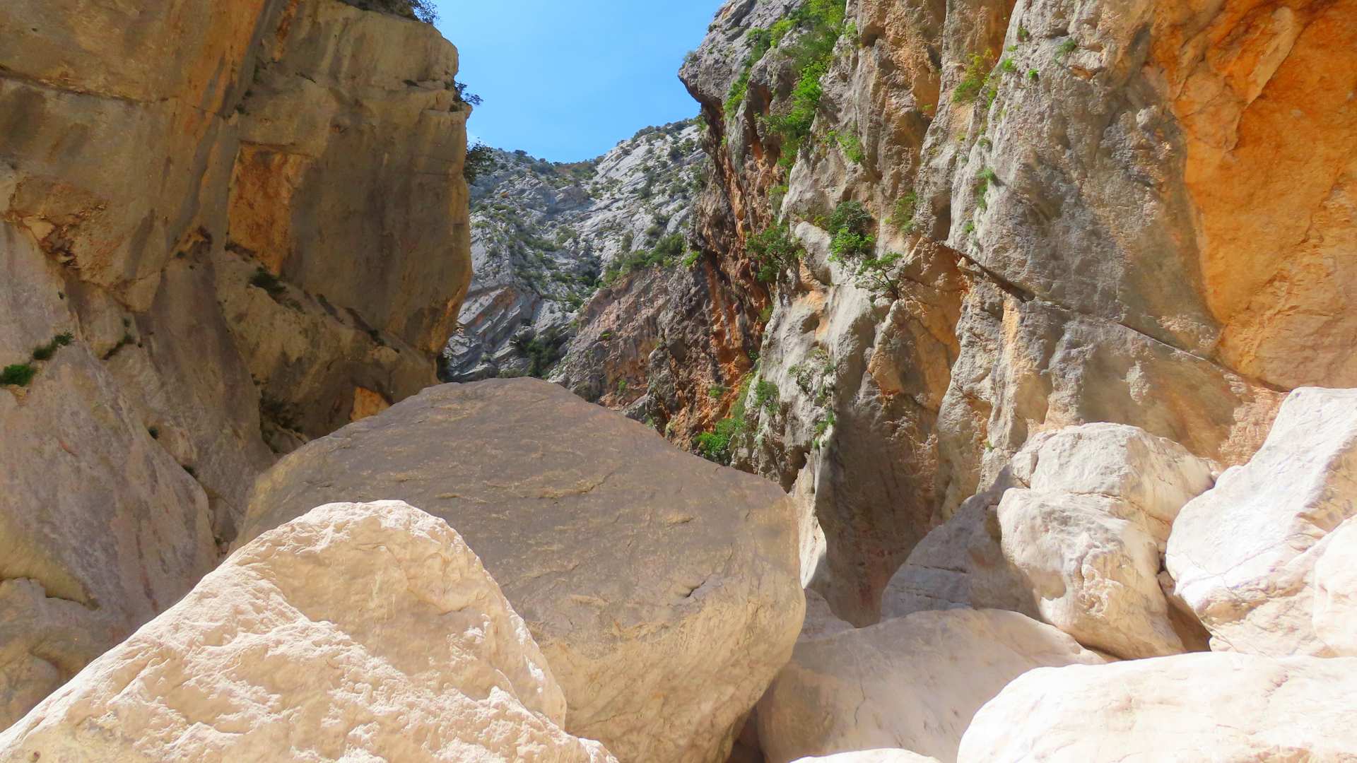 From Cala Gonone: trekking in the Gorropu canyon with transfer - Photo 11