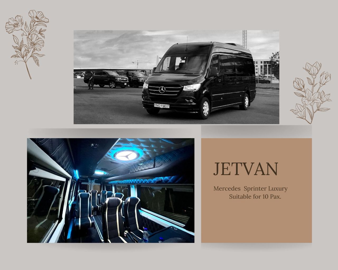 Private Combo 2in1 tour Golden Circle - Northern light hunt 12h  - photo 17