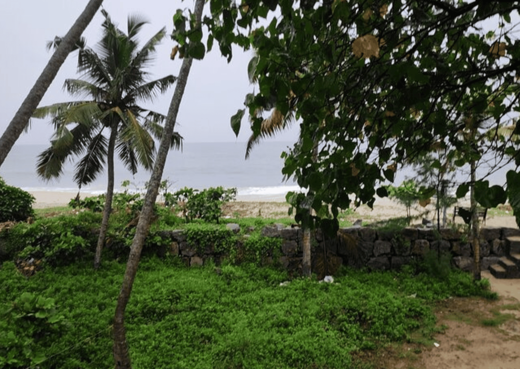 Highlights of the Kochi (Guided Full Day City Tour) - Photo 6