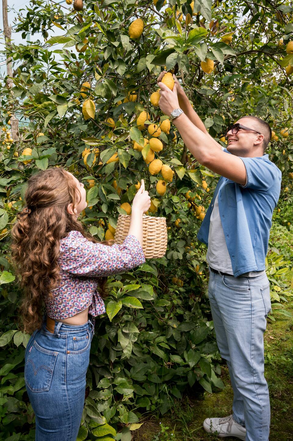 Sorrento: Authentic Lemon Experience at a Local Farmhouse - Photo 3