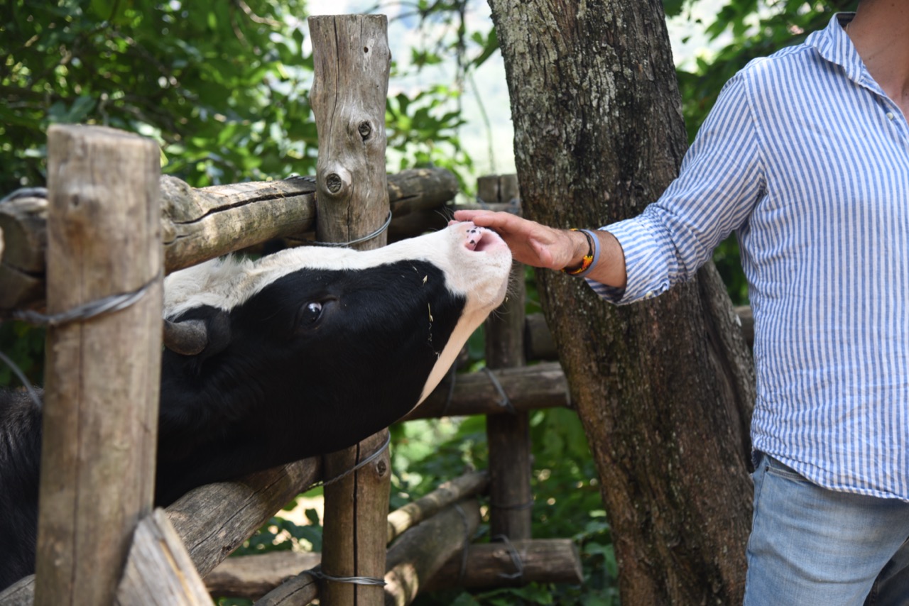 Sorrento Farm Experience: Pizza, Cheese, Wine & More! - Photo 3