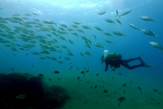 Inmersión guiada para buceadores certificados