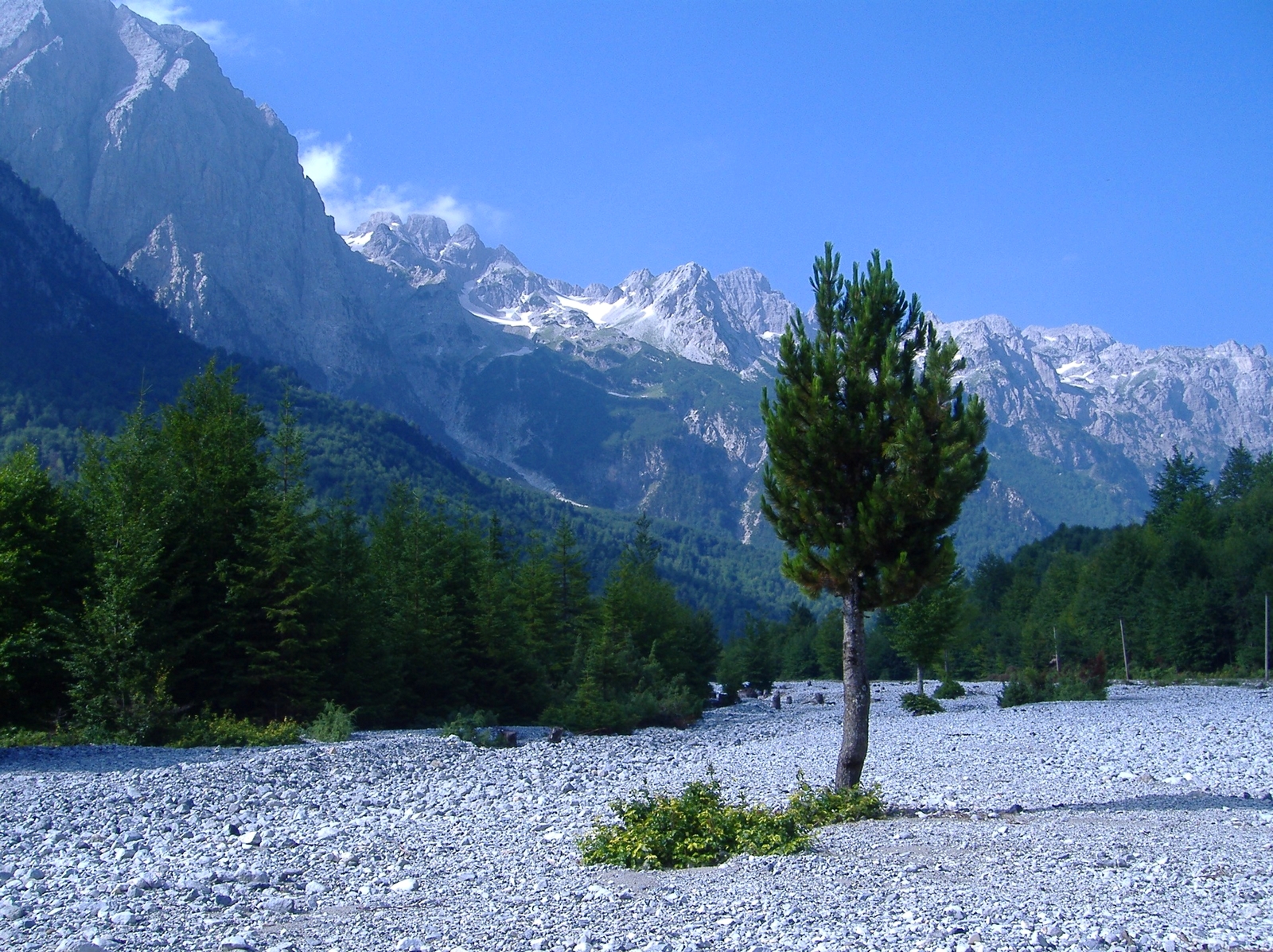 Day Trip from Shkoder to Valbona: including Komani Lake & Shala River Tour
