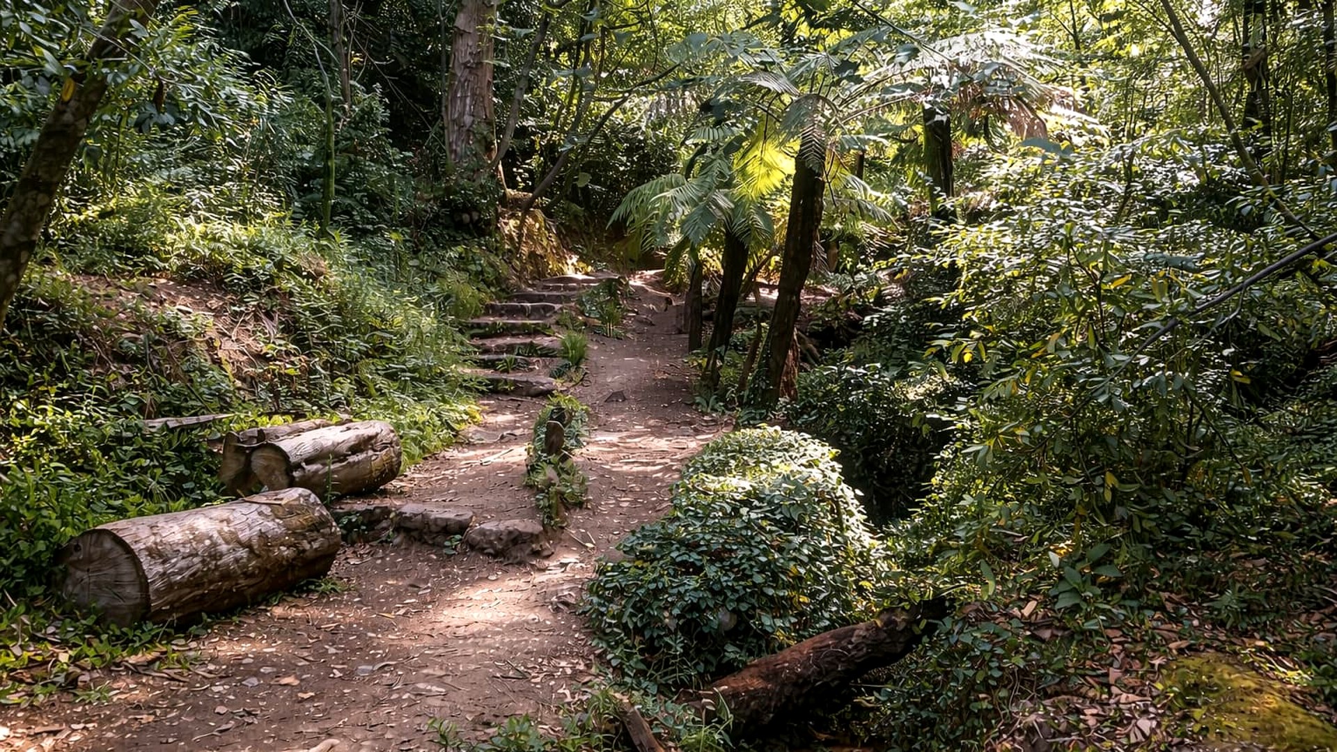 Private Coimbra & Buçaco Tour with Forest Walk & Palace - Photo 8