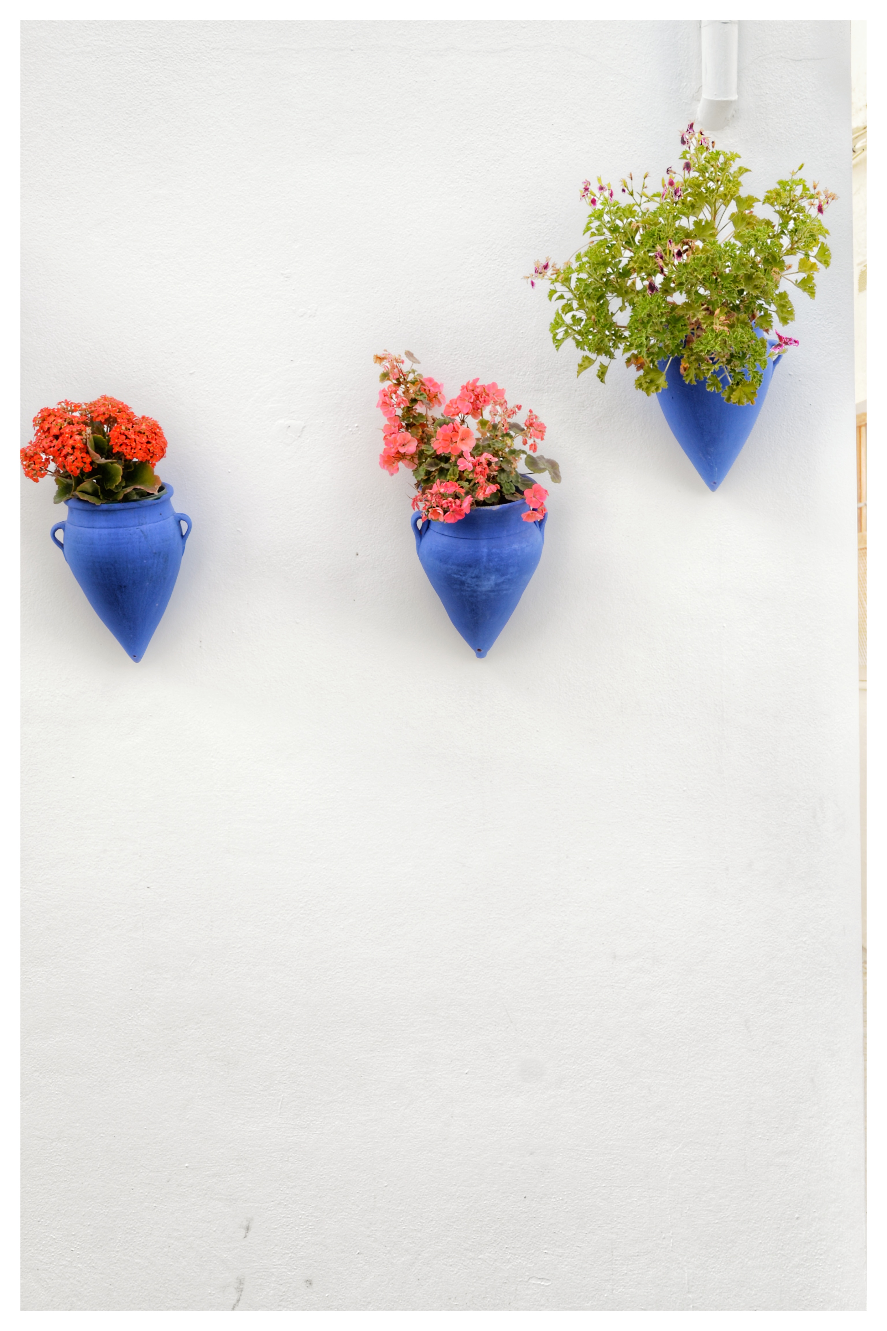 From Córdoba: White Villages of Cordoba private day trip - Foto 2