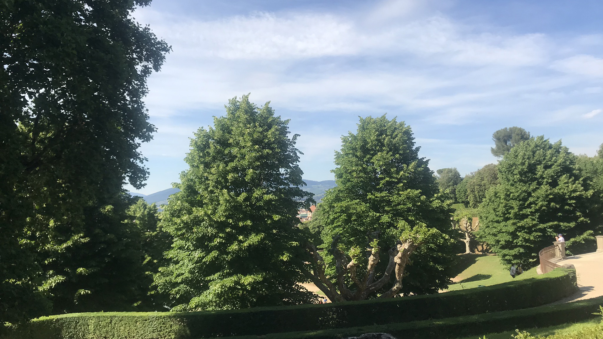 Pitti Palace & Boboli  Gardens tour with a local Guide - Photo 41