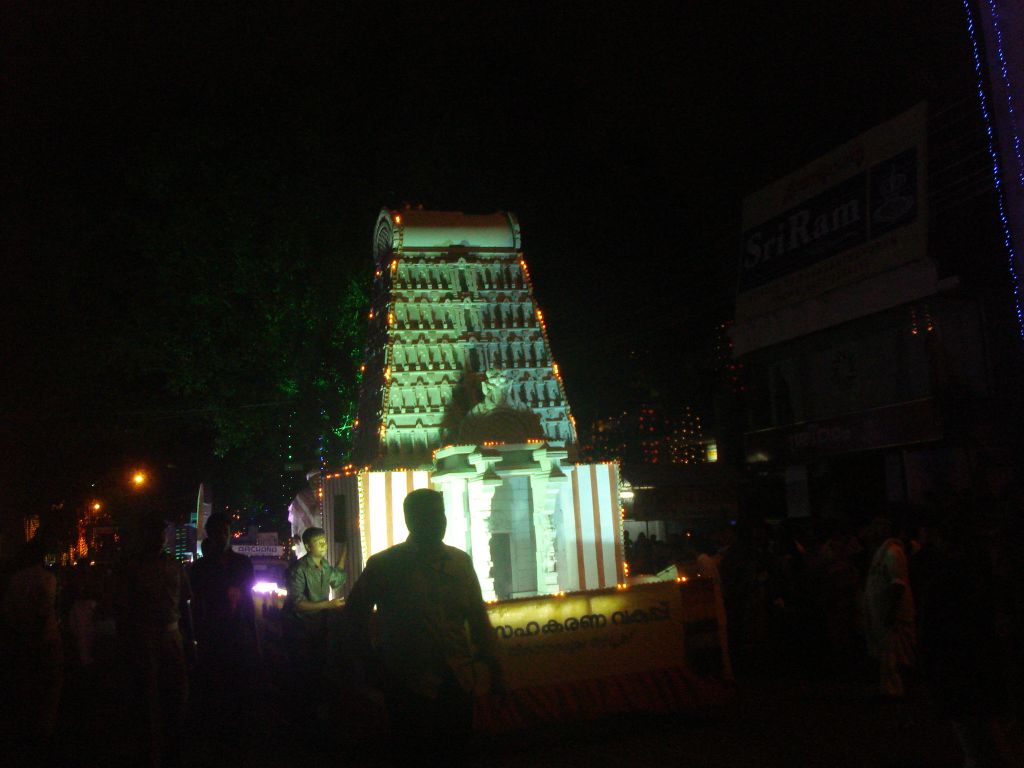 NIGHT WALK TOUR TRIVANDRUM - Photo 7