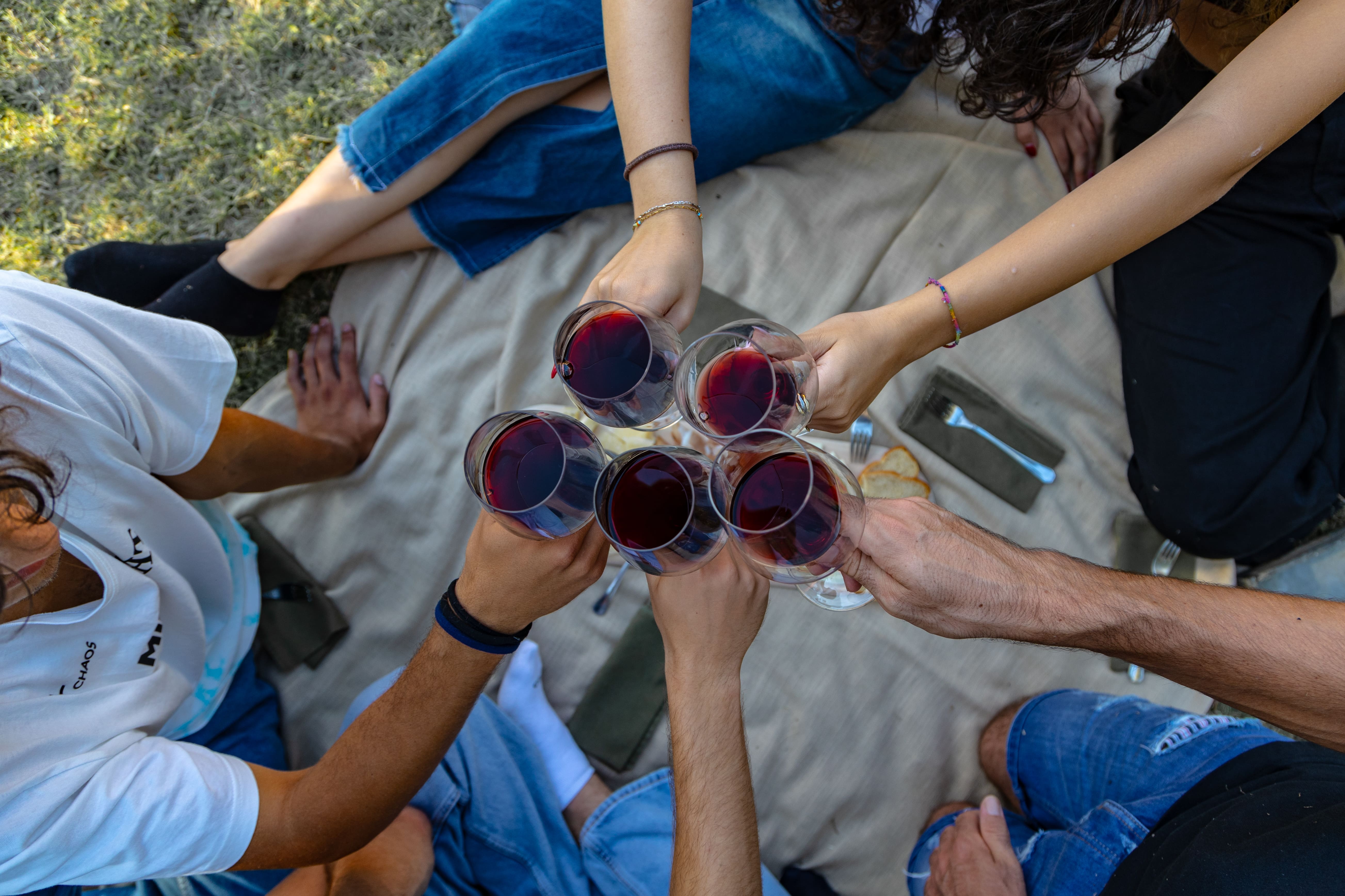 From Venice: Wine Tour on the Euganean Hills - Photo 5