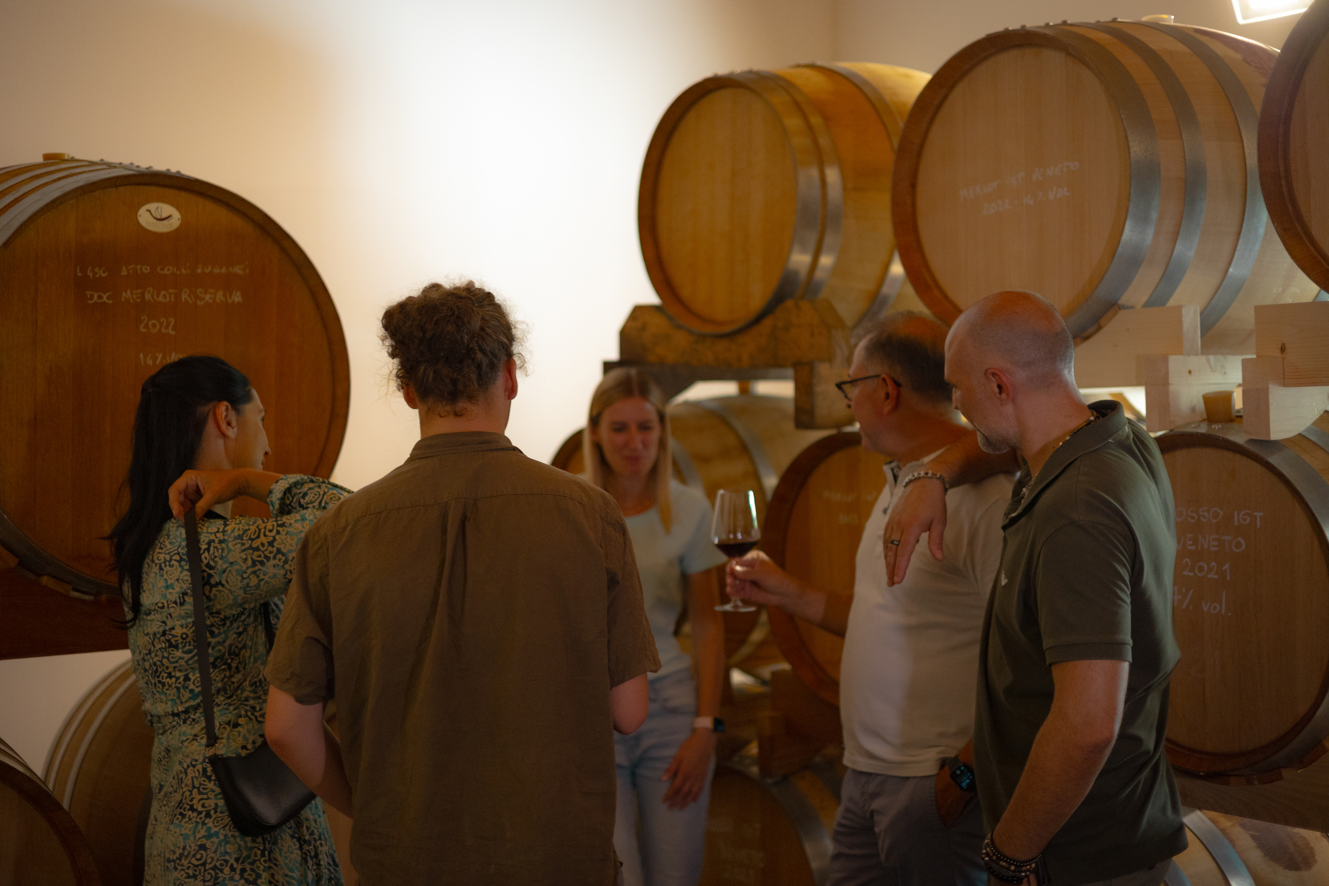 From Padua: Olive Oil & Wine in the Euganean Hills - Photo 4
