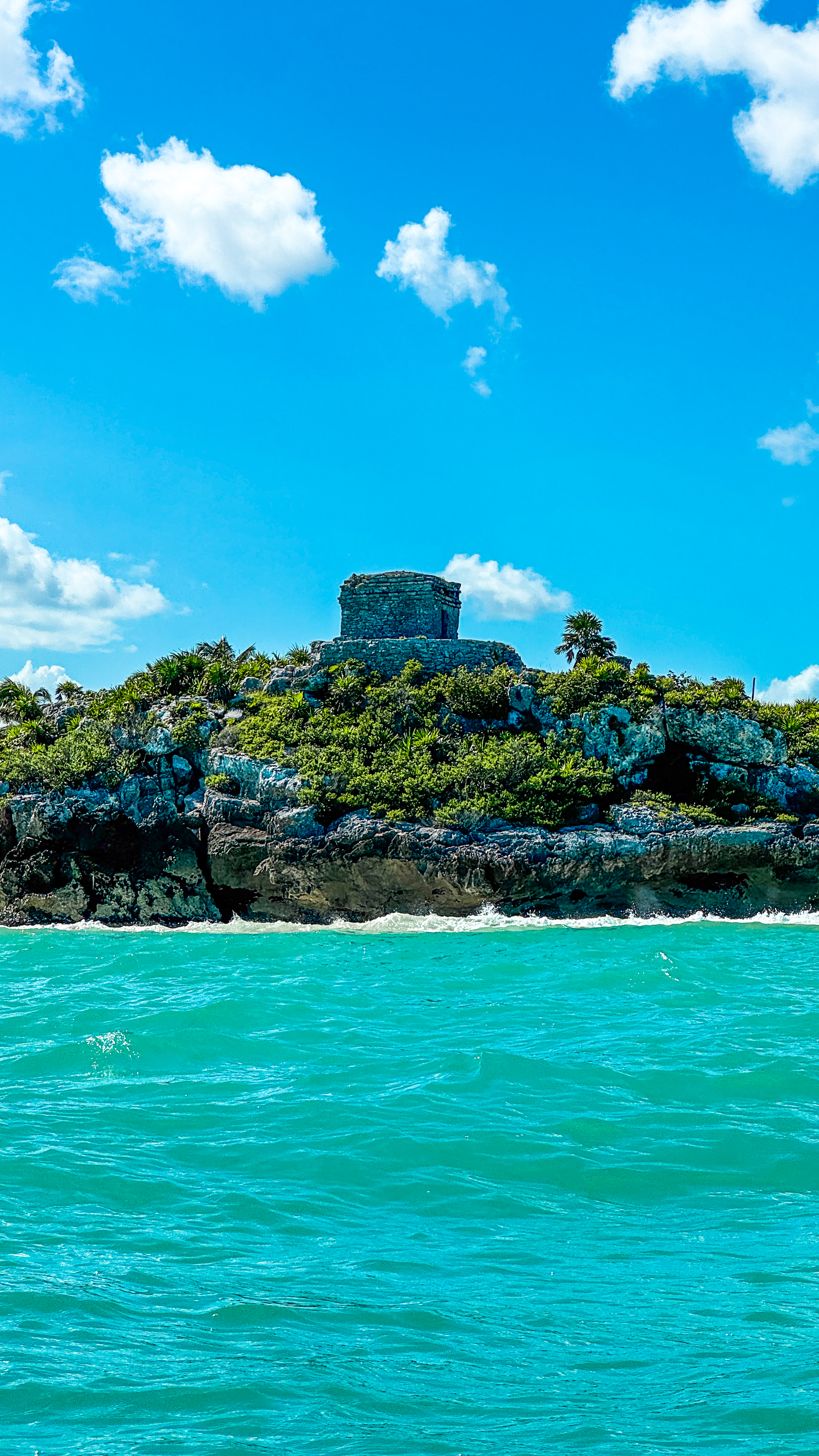 1.5 hours Snorkeling at Tulum's paradise reef — 59/92