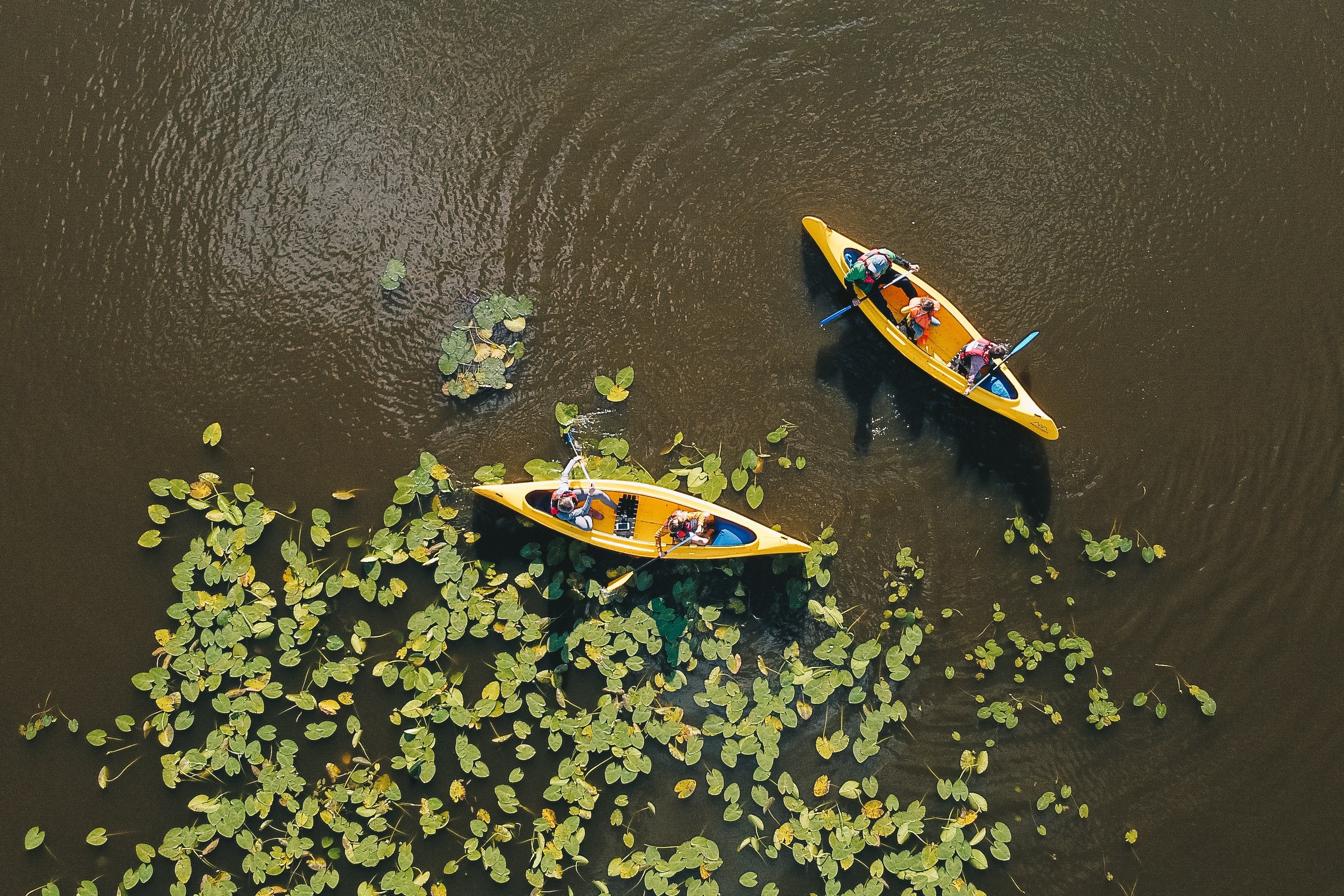Paseo en canoa por Laponia