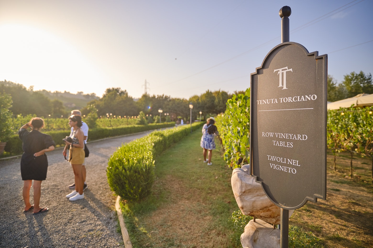 Small-Group Winery Tour with Tasting and Dinner in Chianti - Photo 6